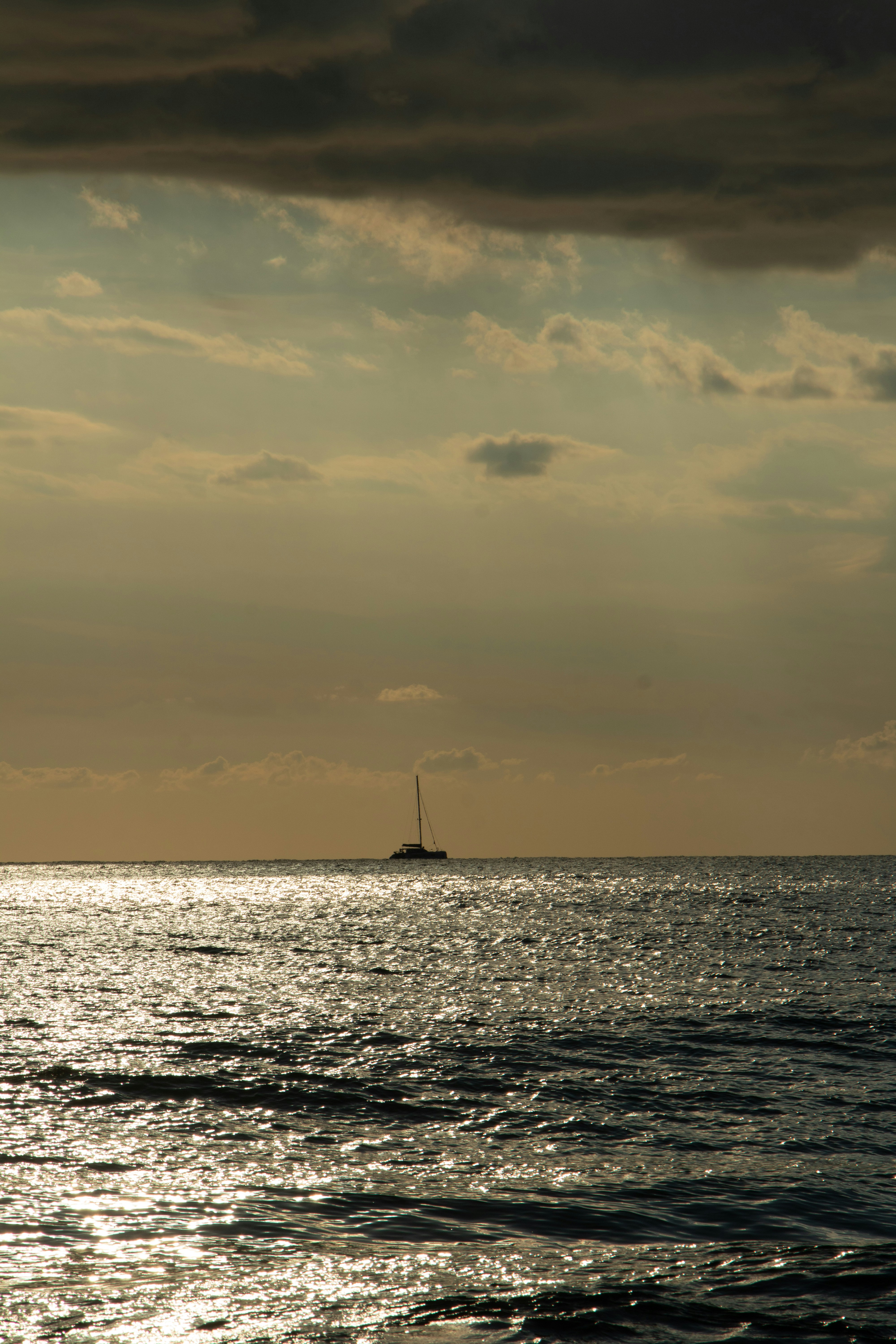 Photo by plasticlines