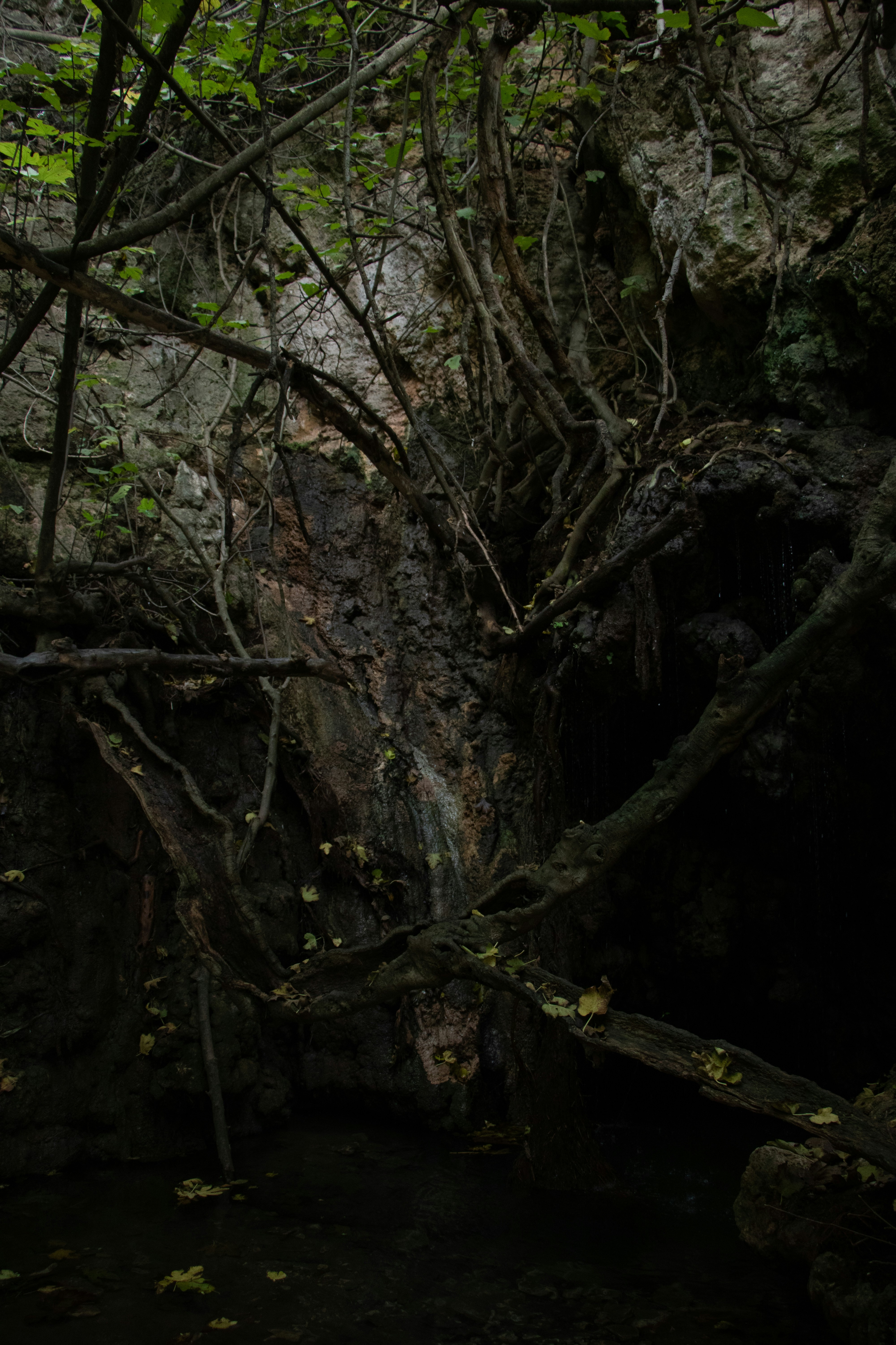 Photo by plasticlines