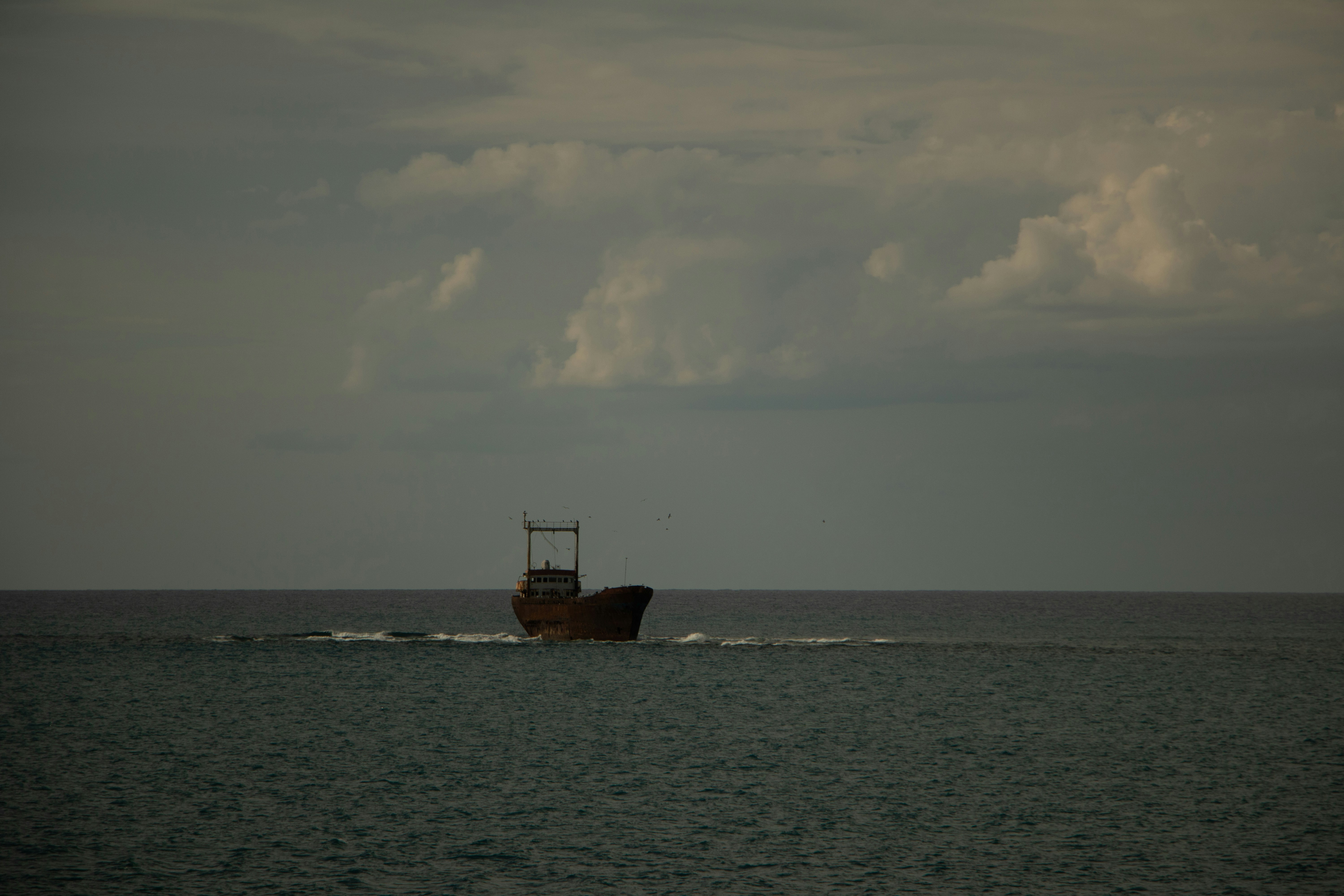 Photo by plasticlines