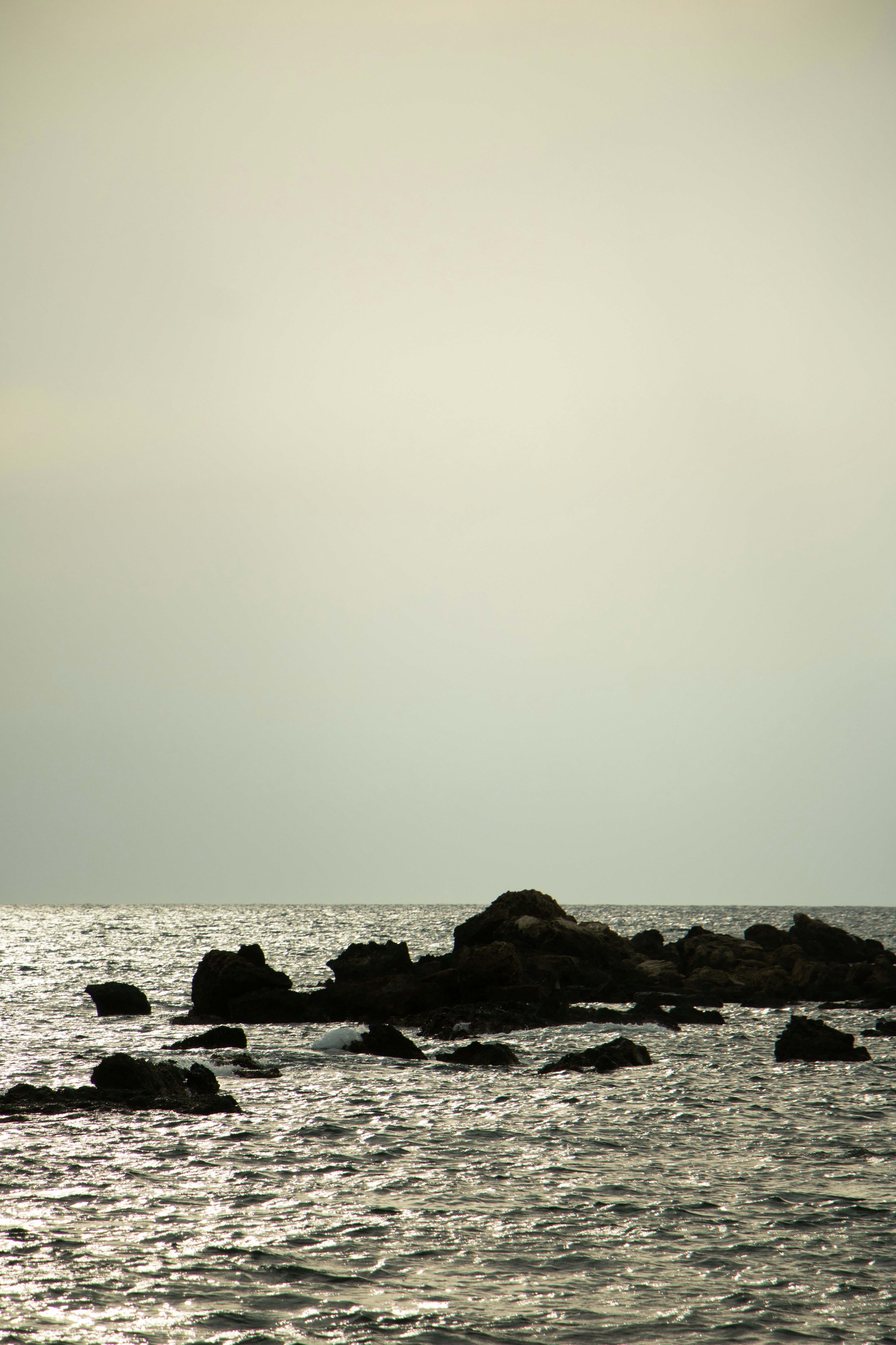 Photo by plasticlines