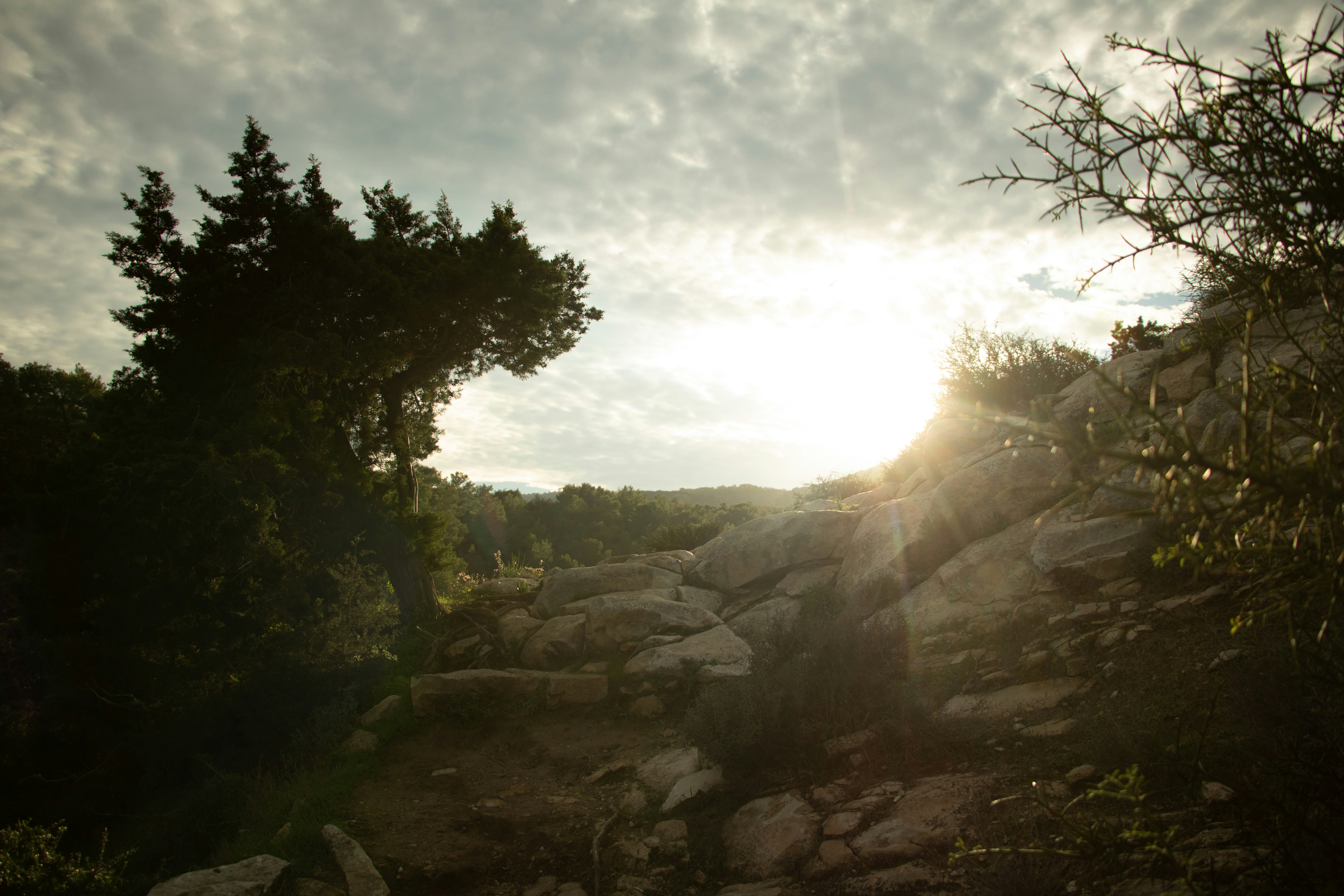 Photo by plasticlines