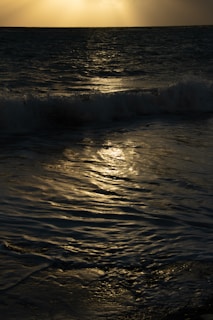 Ocean waves gently crashing with sunlight reflecting off the surface, creating a serene and tranquil atmosphere.