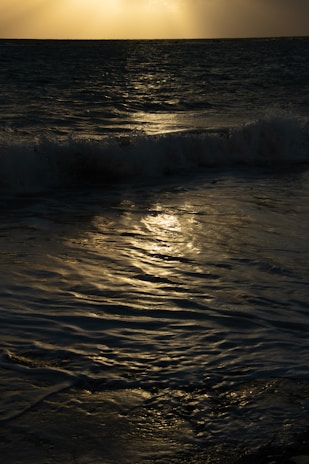 Ocean waves gently crashing with sunlight reflecting off the surface, creating a serene and tranquil atmosphere.