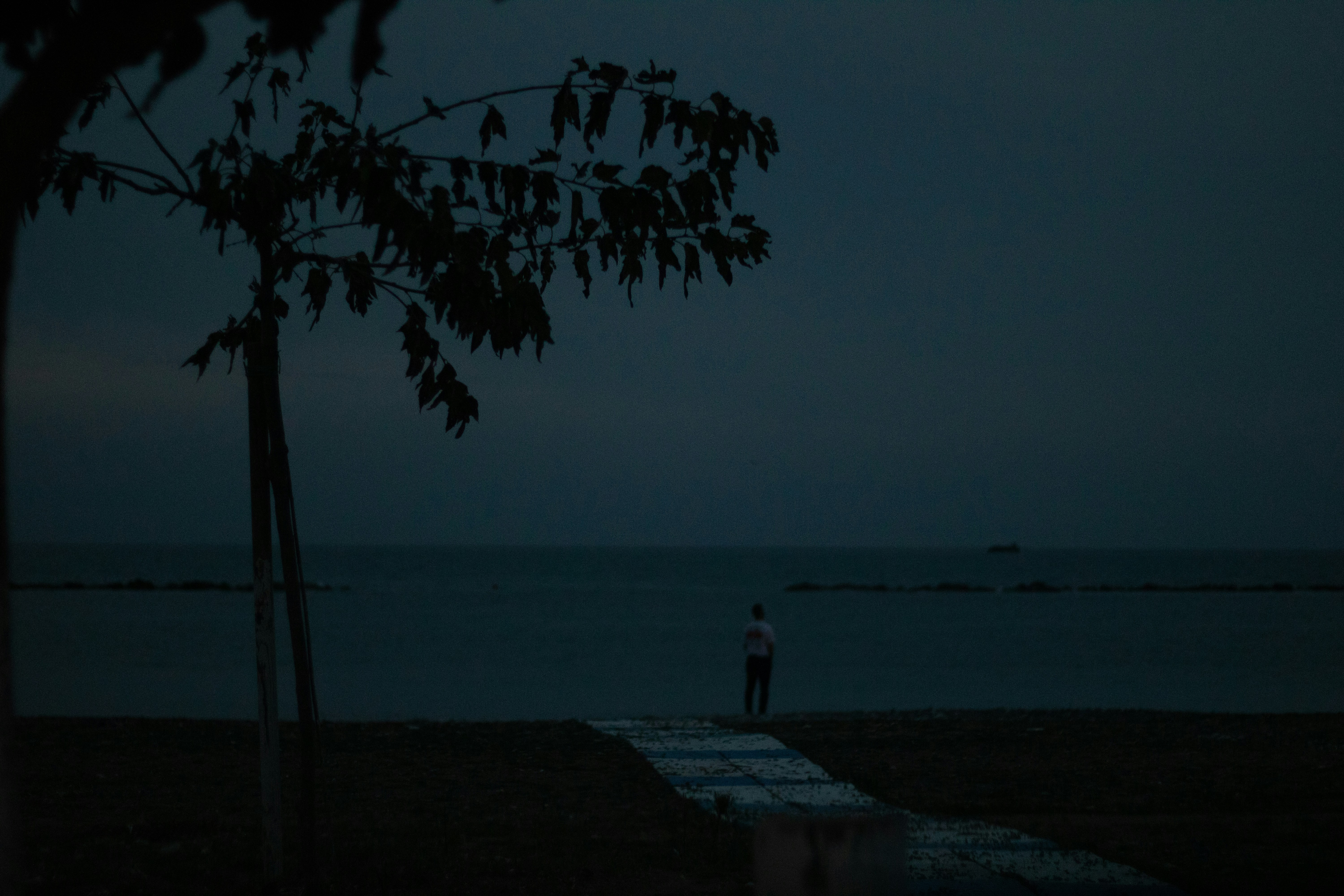 Photo by plasticlines