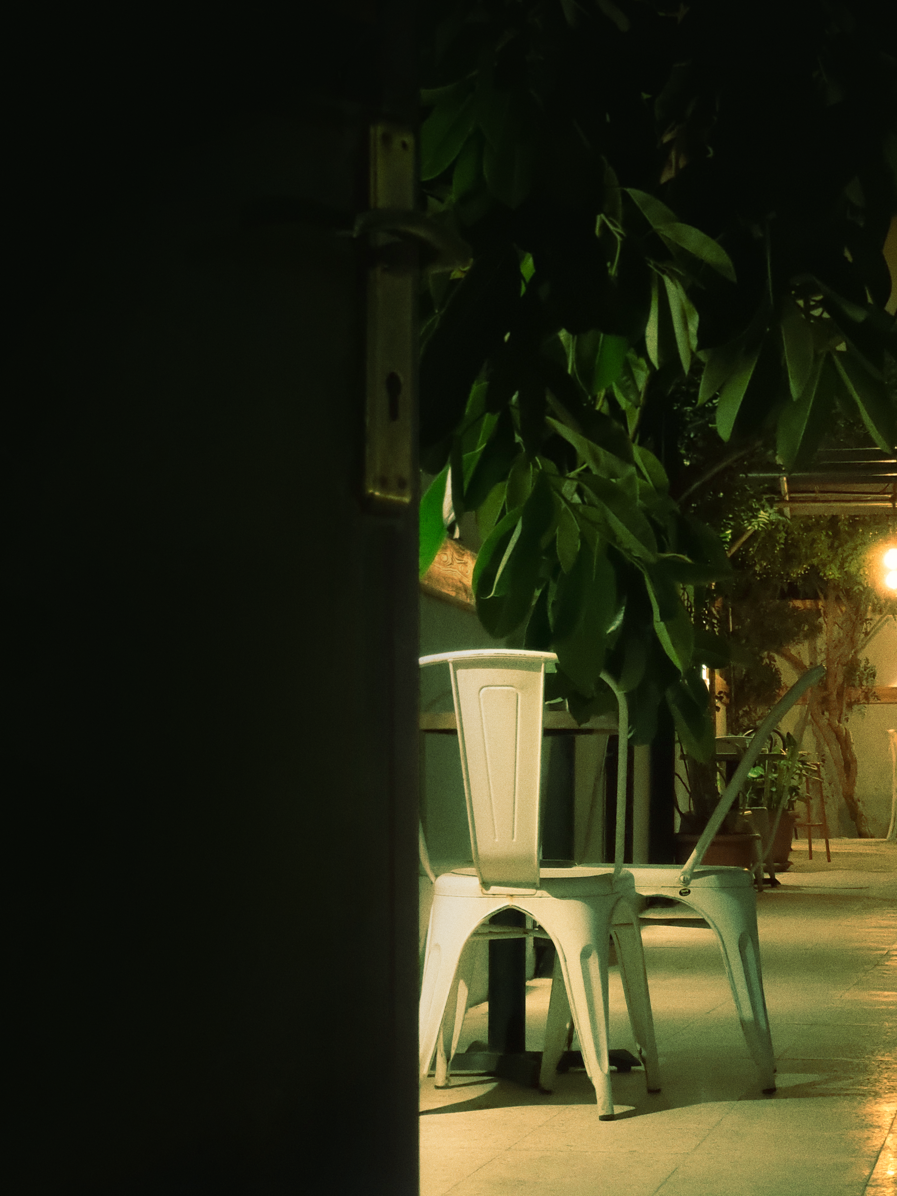 Photo by plasticlines