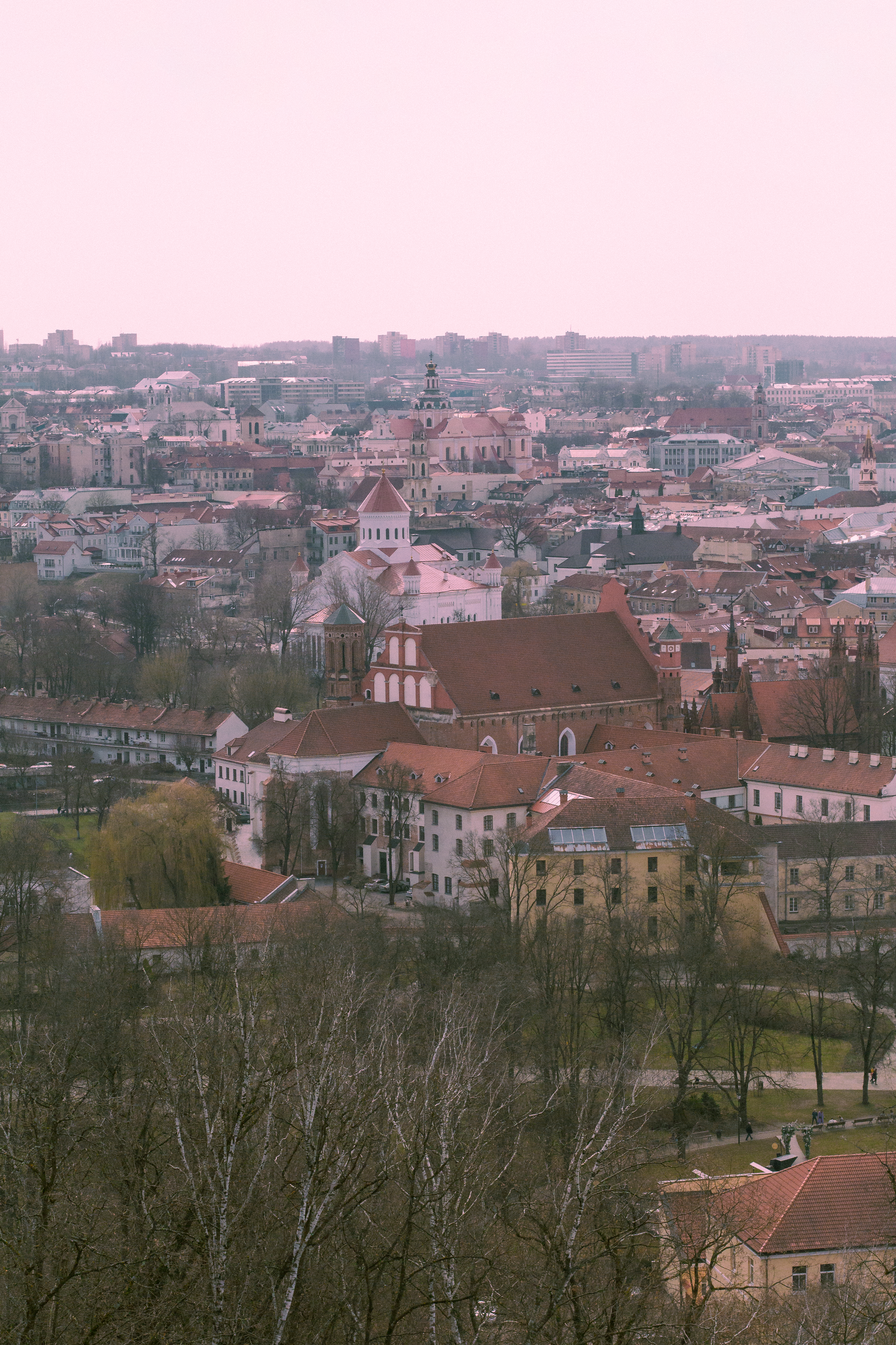 Photo by plasticlines