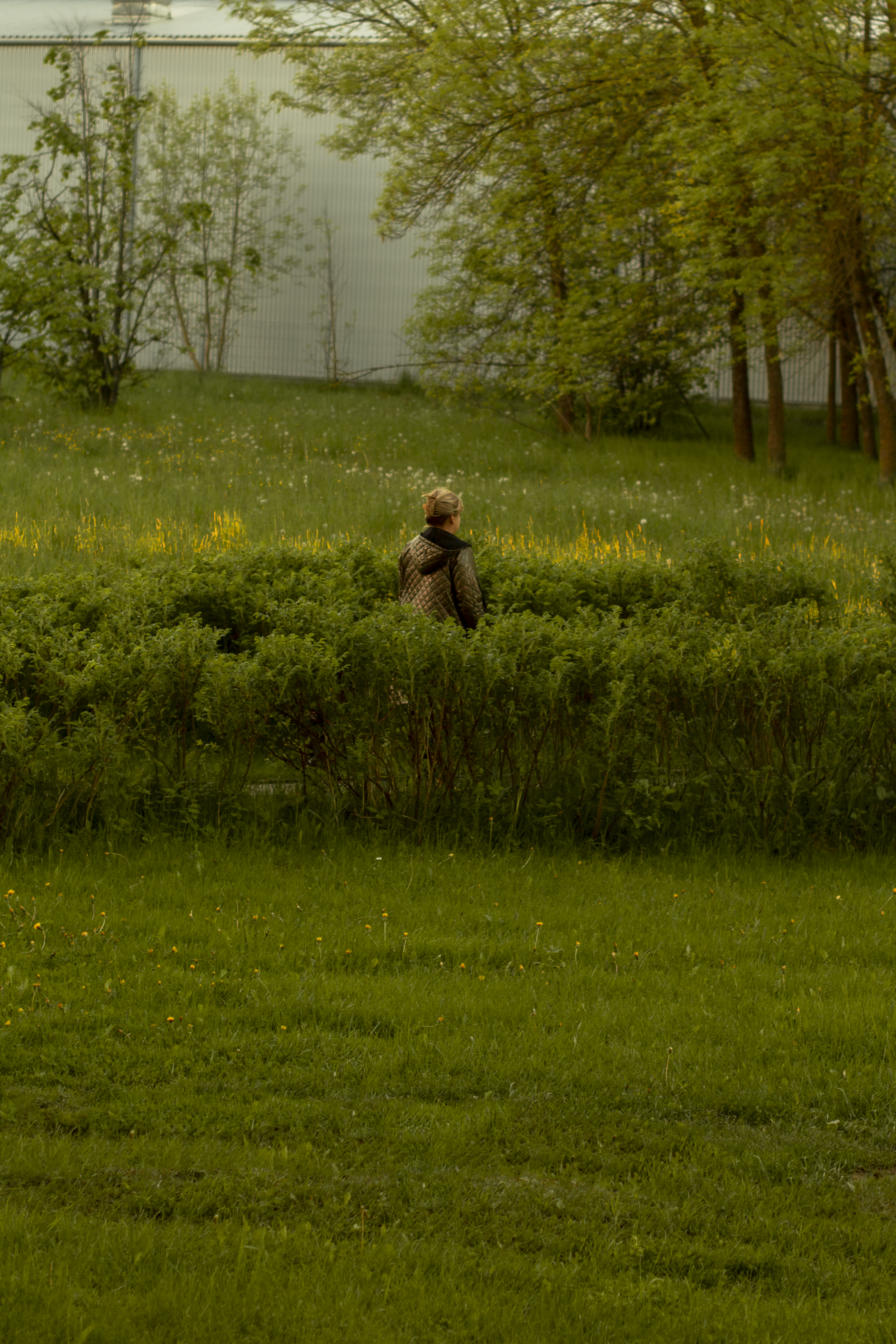 Photo by plasticlines