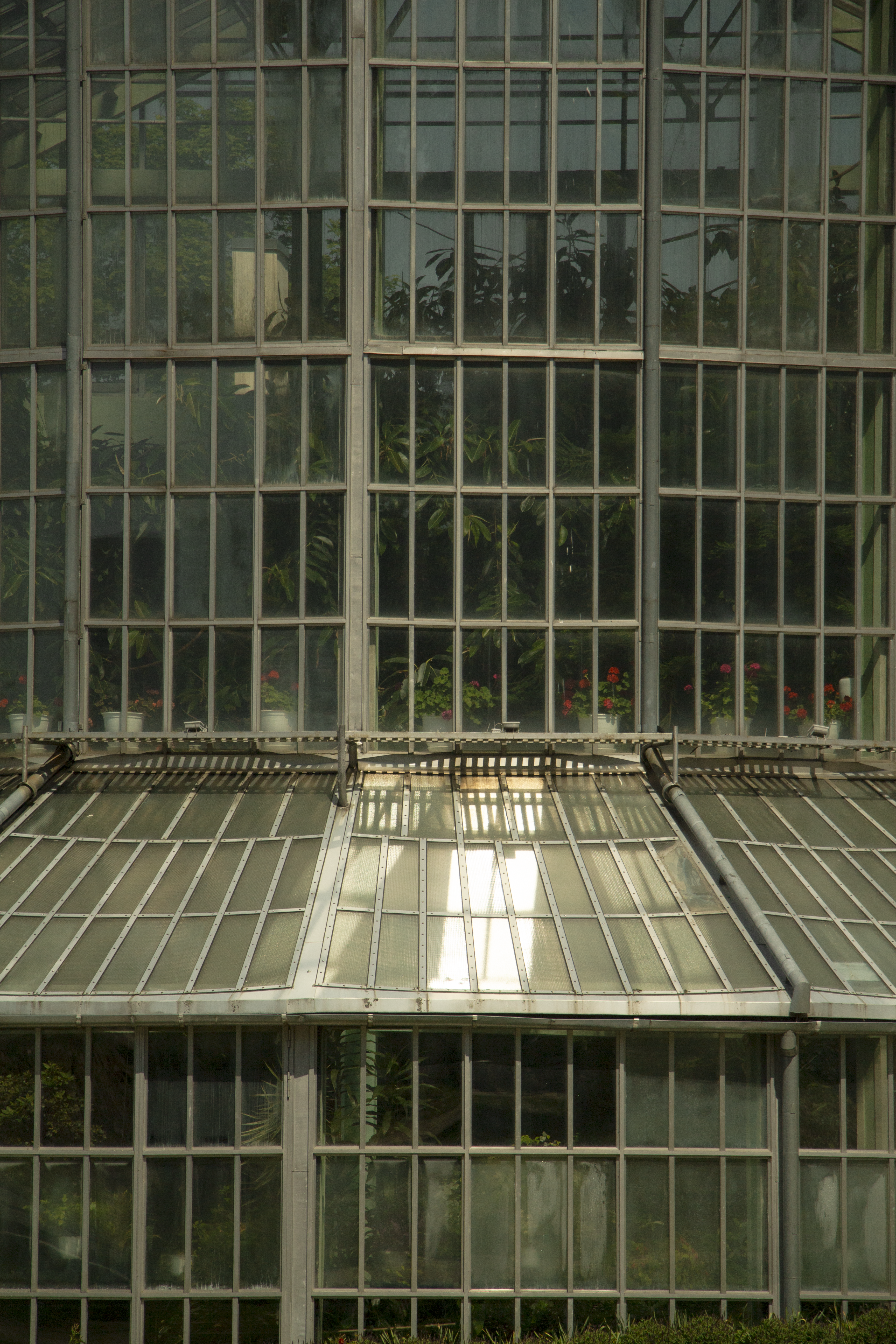 Photo by plasticlines