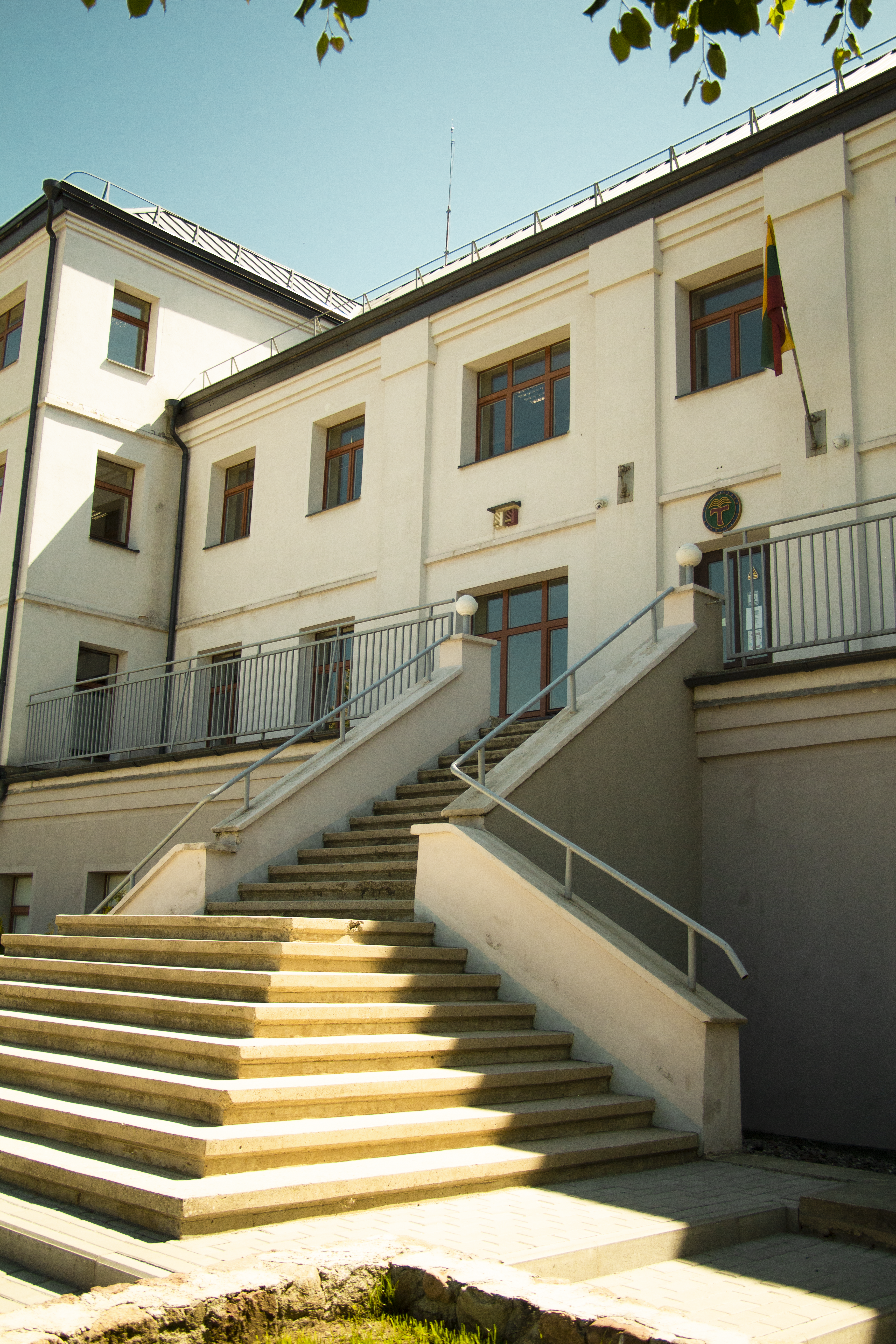 Photo by plasticlines