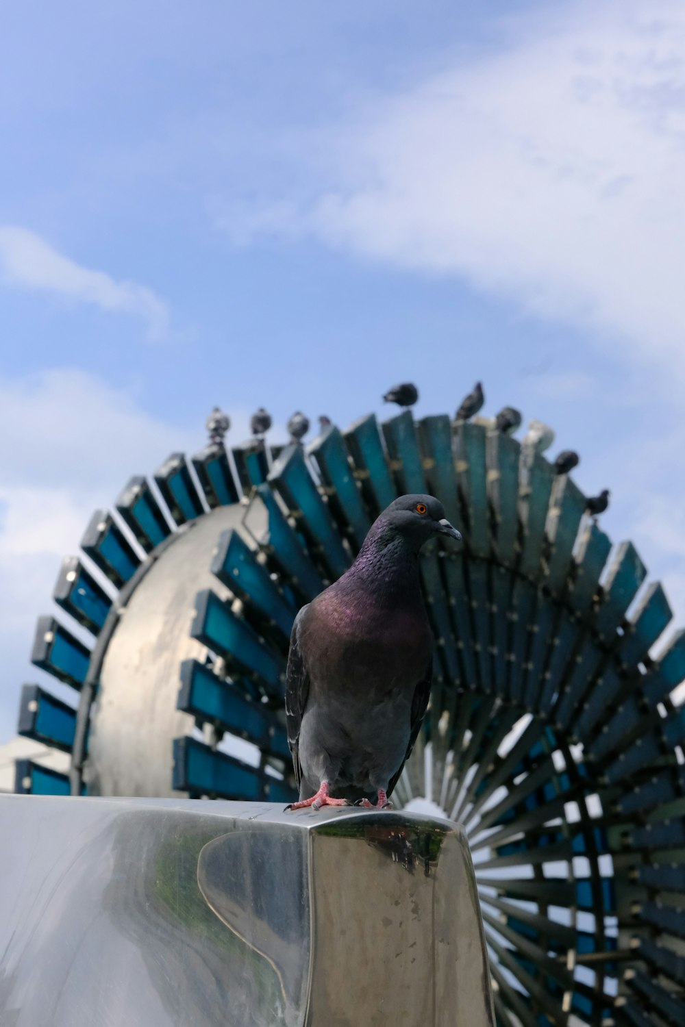 a pigeon sitting on top of a metal object