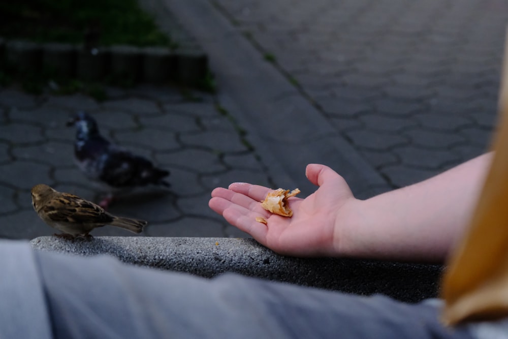 a person holding a piece of food in their hand