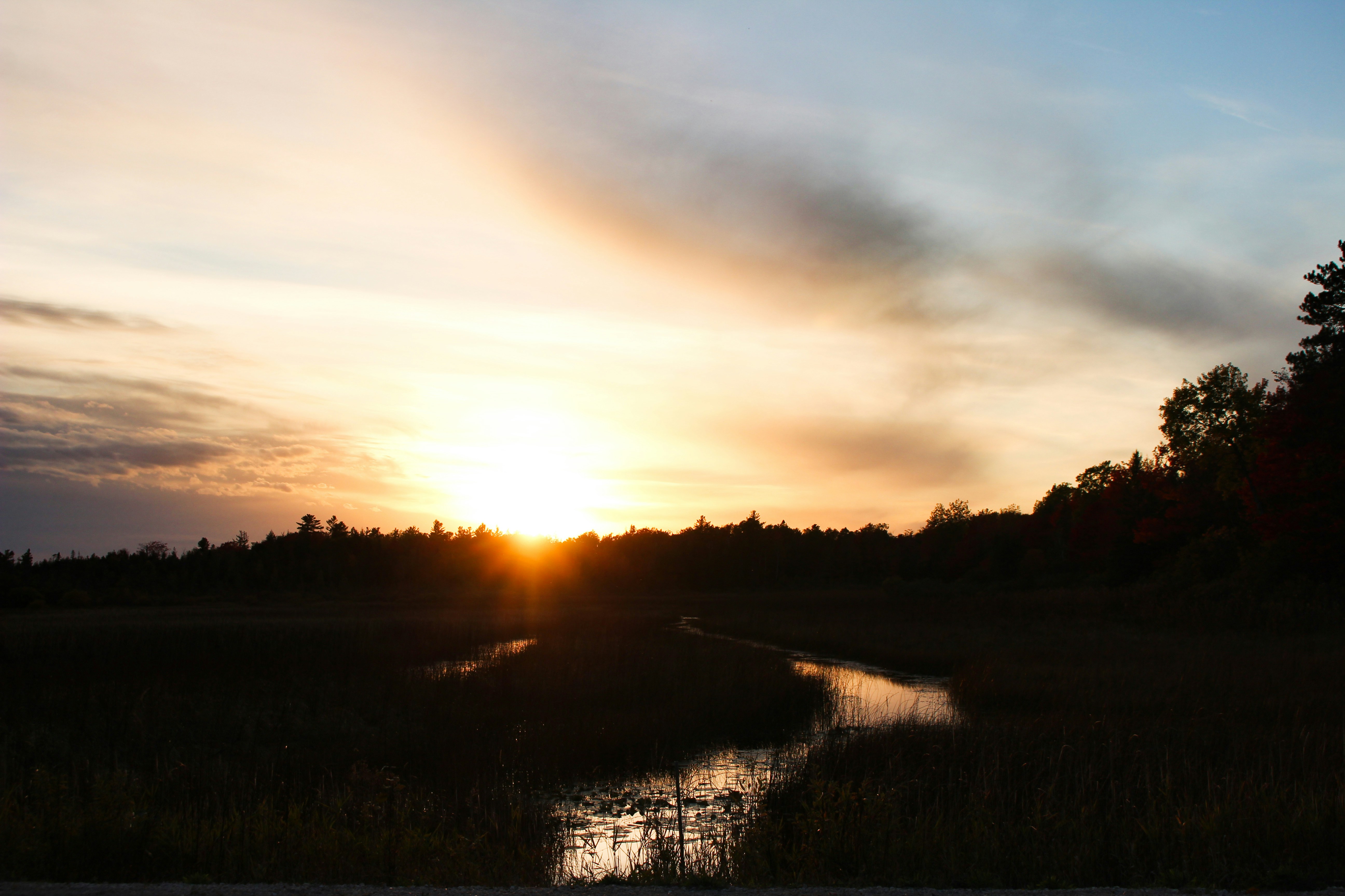 Photo by elijahaustin