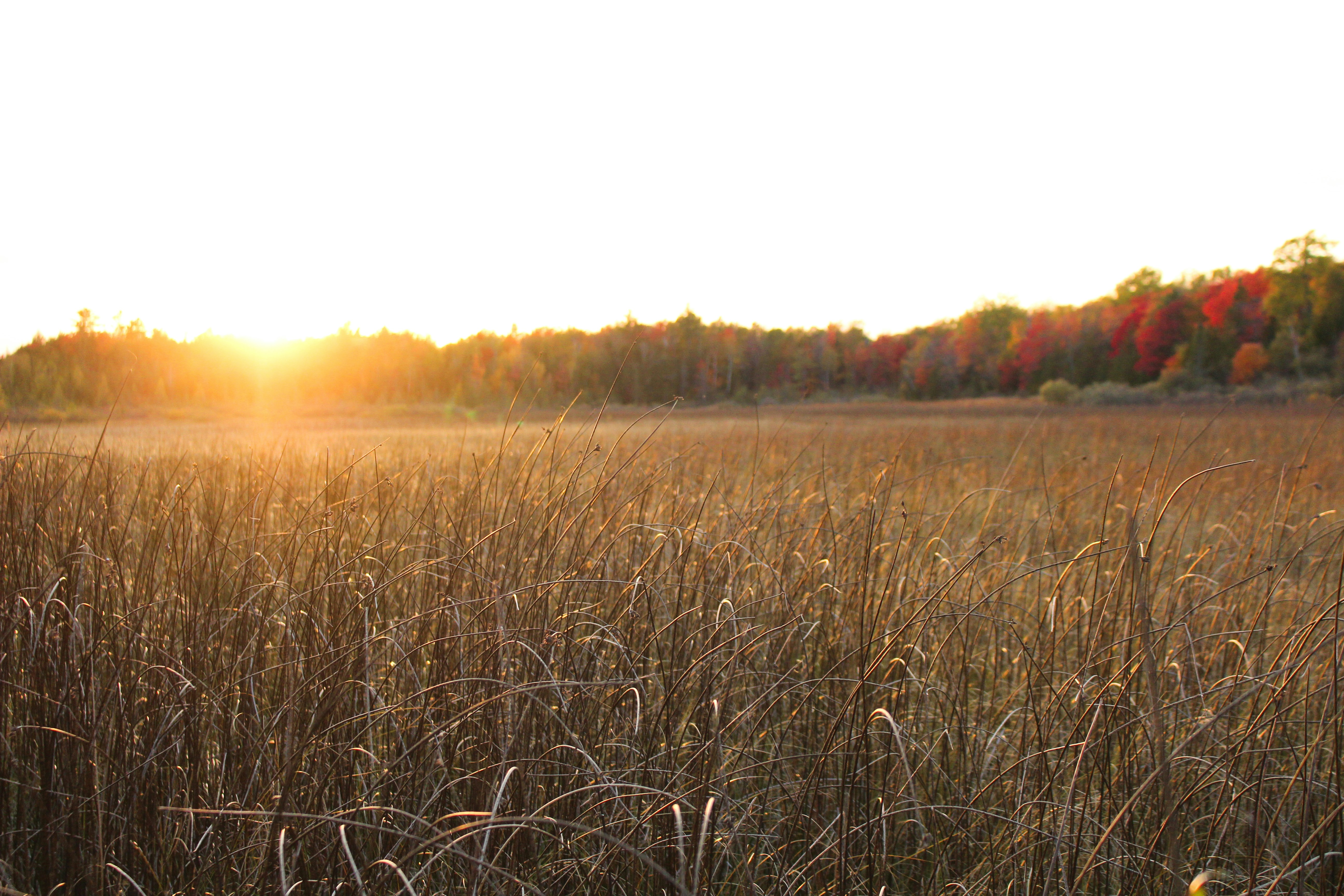 Photo by elijahaustin