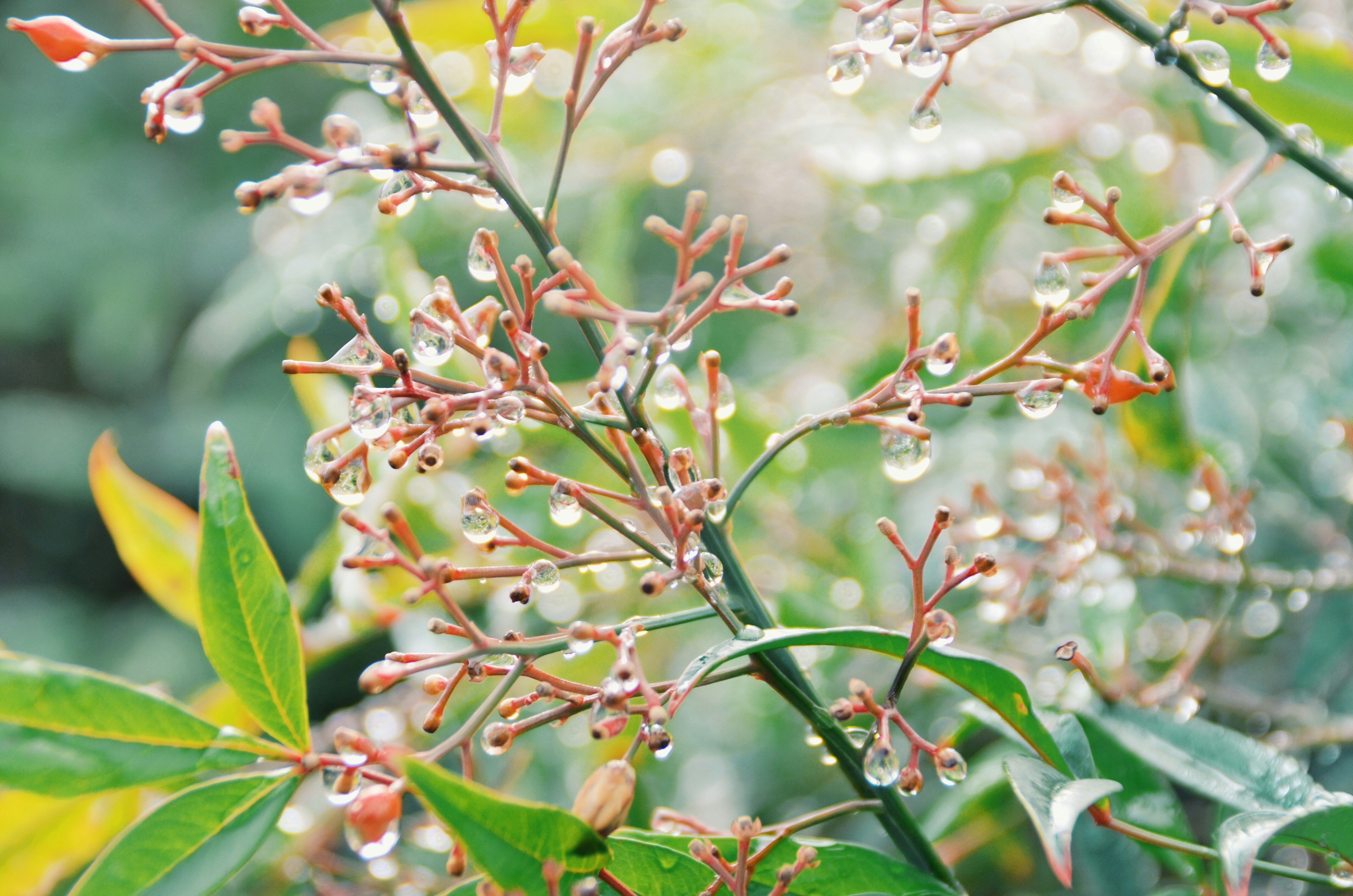예체능 학생을 위한 고교학점제 과목 선택법