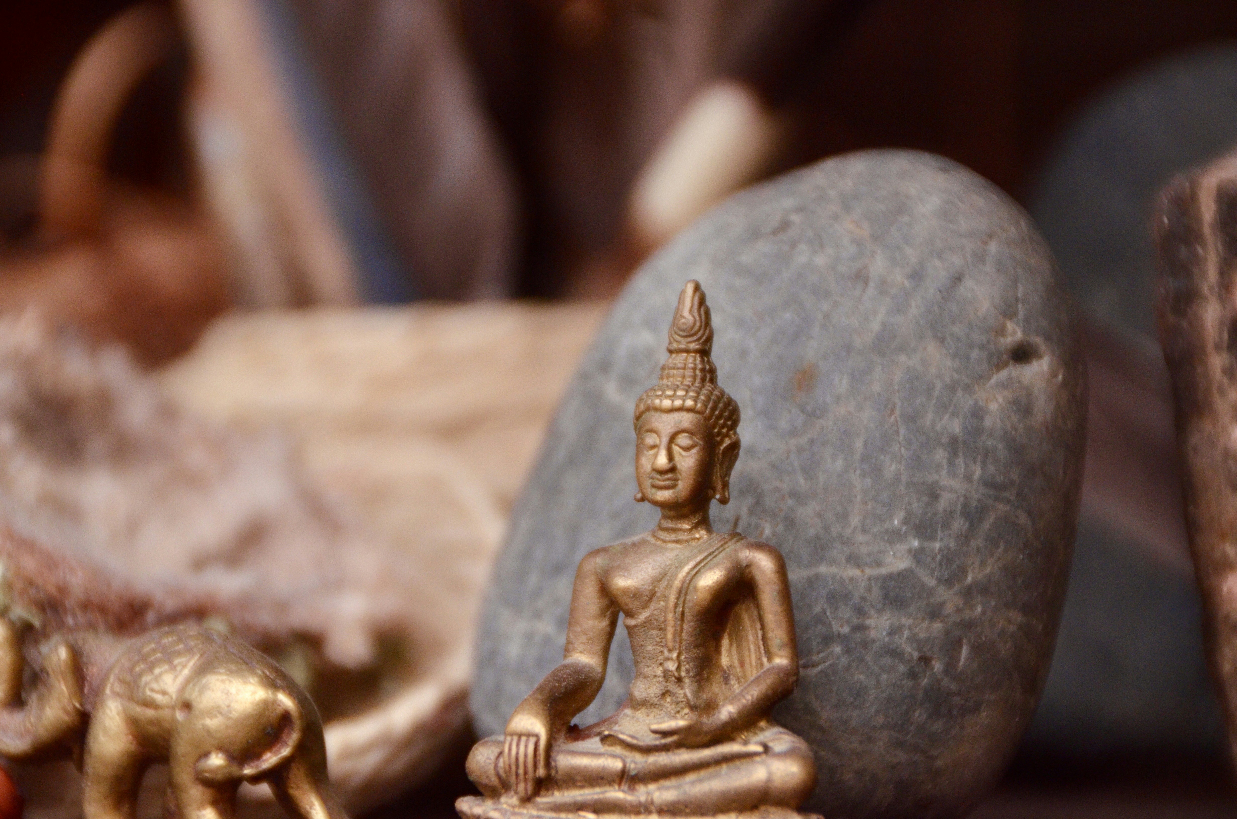 Photo by jossbroward