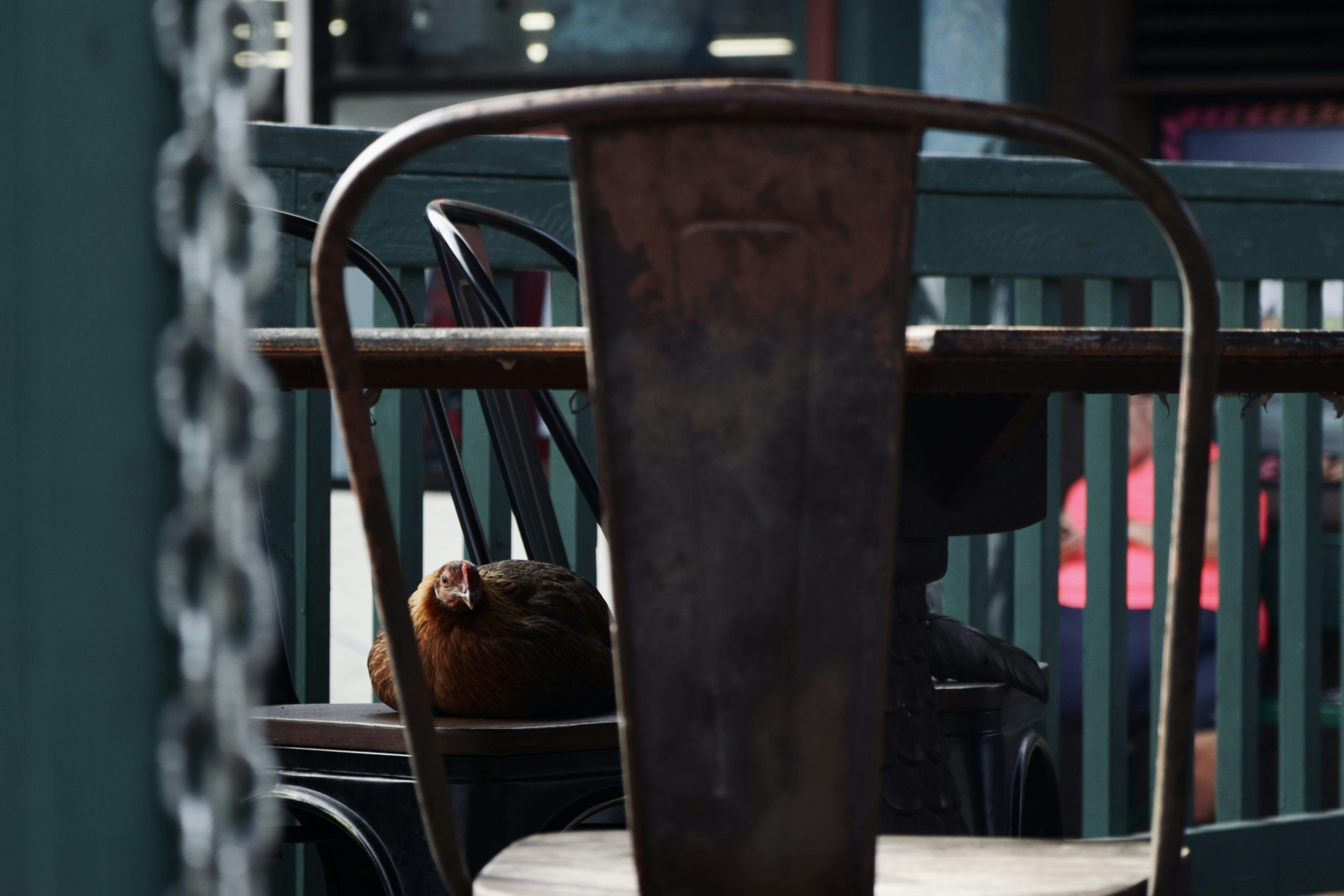 https://images.unsplash.com/photo-1692837961201-527fbffbdceb?ixid=M3w2MjYzNjJ8MHwxfHNlYXJjaHw3fHxyZXN0YXVyYW50JTIwY2hhaW5zfGVufDB8MHx8fDE3MjIwMzY2MjN8MA&ixlib=rb-4.0.3