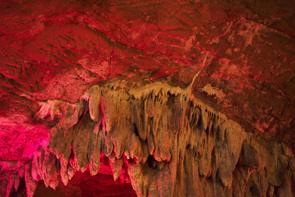 a cave filled with lots of red and pink lights