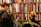 Two installers carefully assembling a large bookshelf in a cozy home office.