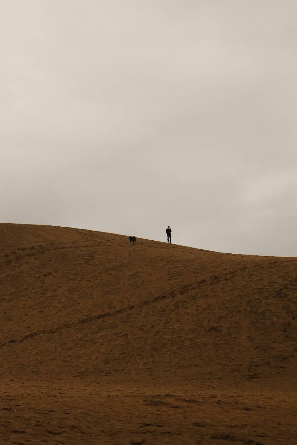 a person standing on top of a brown hill