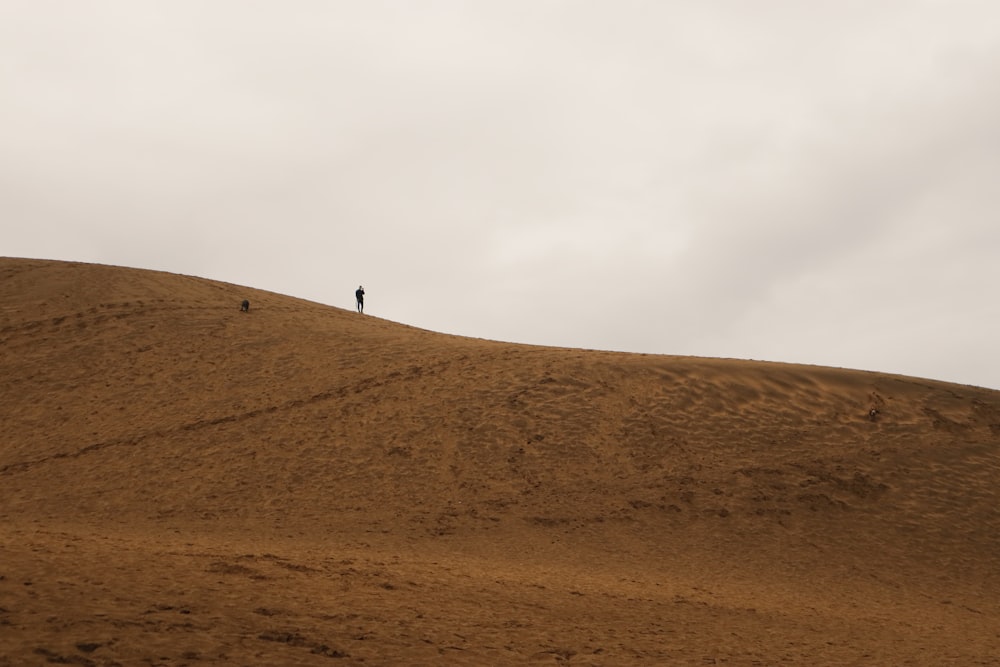 a person standing on top of a brown hill