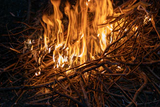 A firestarter kit sparking a bright flame beside dry leaves and twigs.