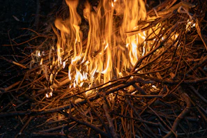 A firestarter kit sparking a bright flame beside dry leaves and twigs.