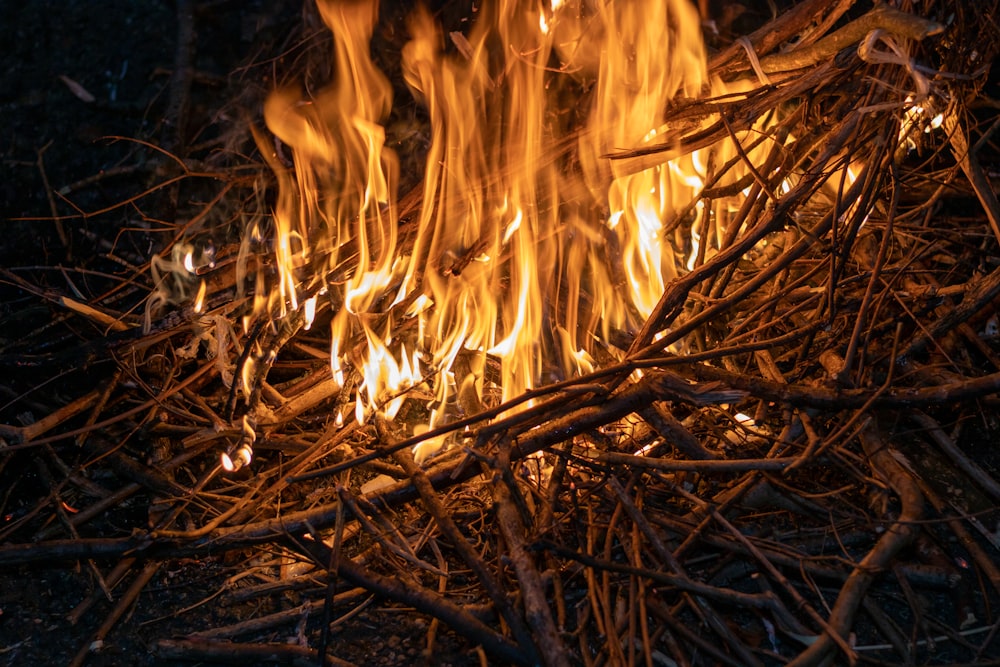 a bunch of sticks that are burning in the dark