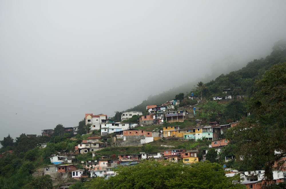a hillside covered in lots of houses on a foggy day