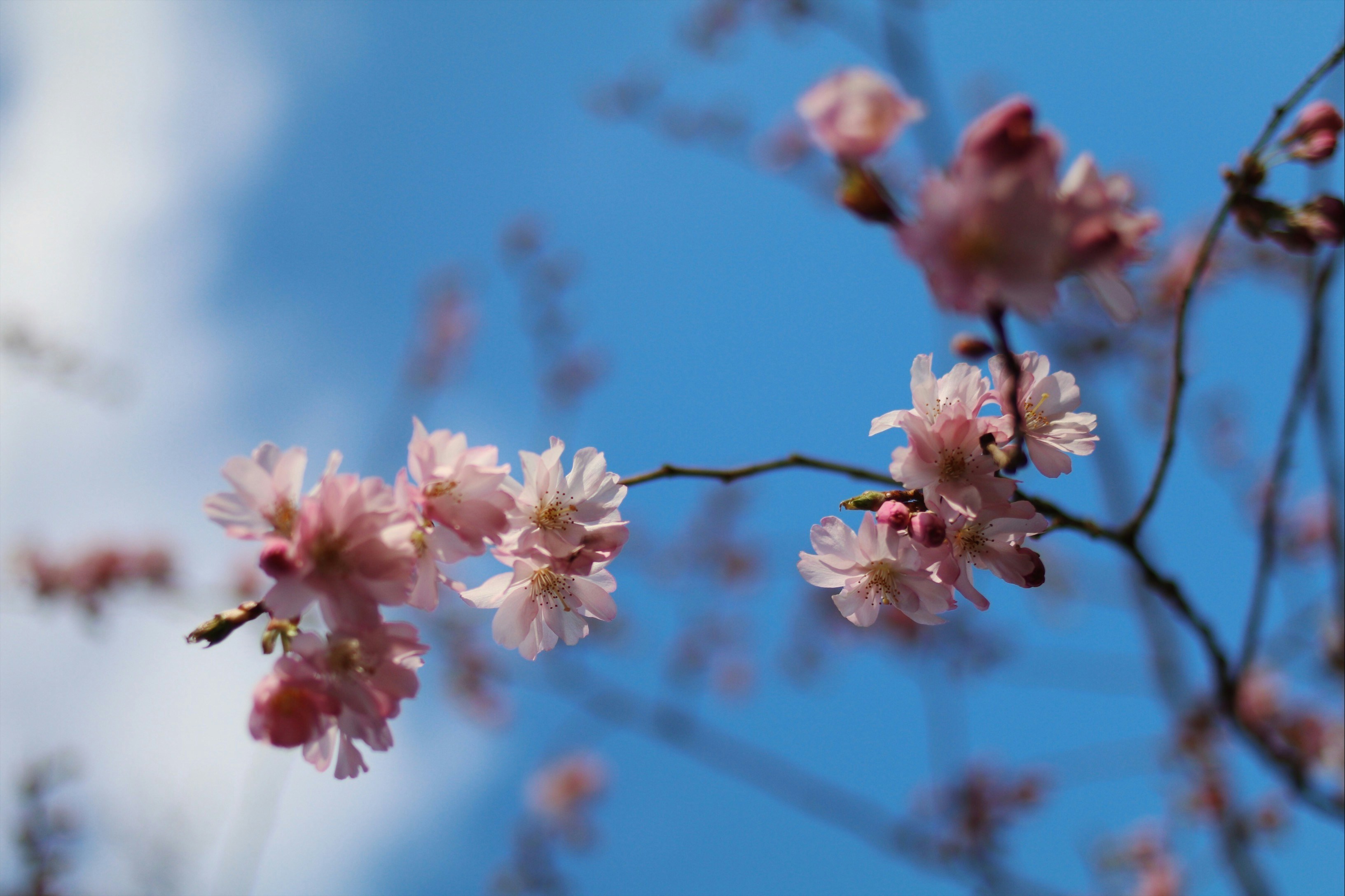 Photo by arnaudgillard