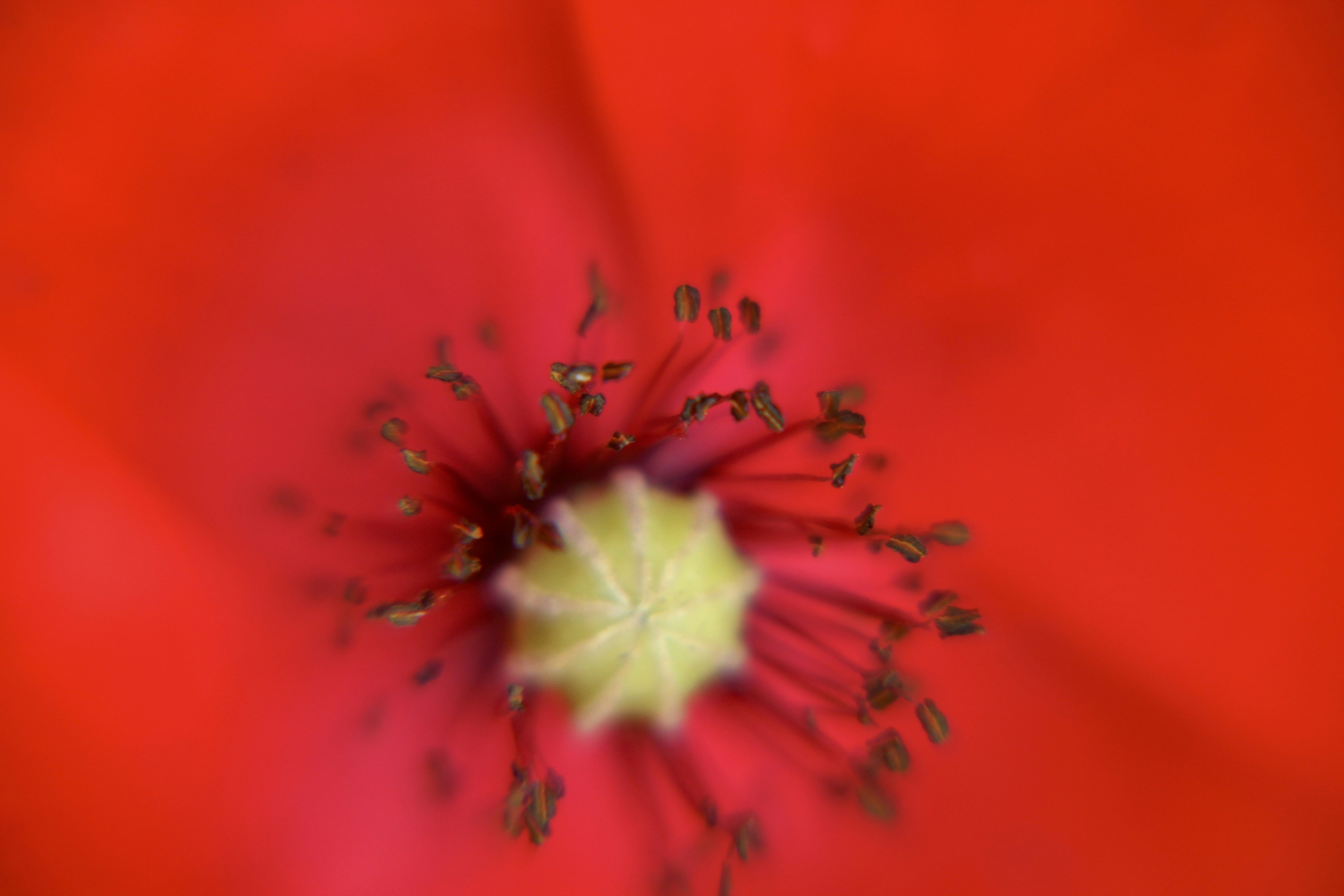 Photo by arnaudgillard