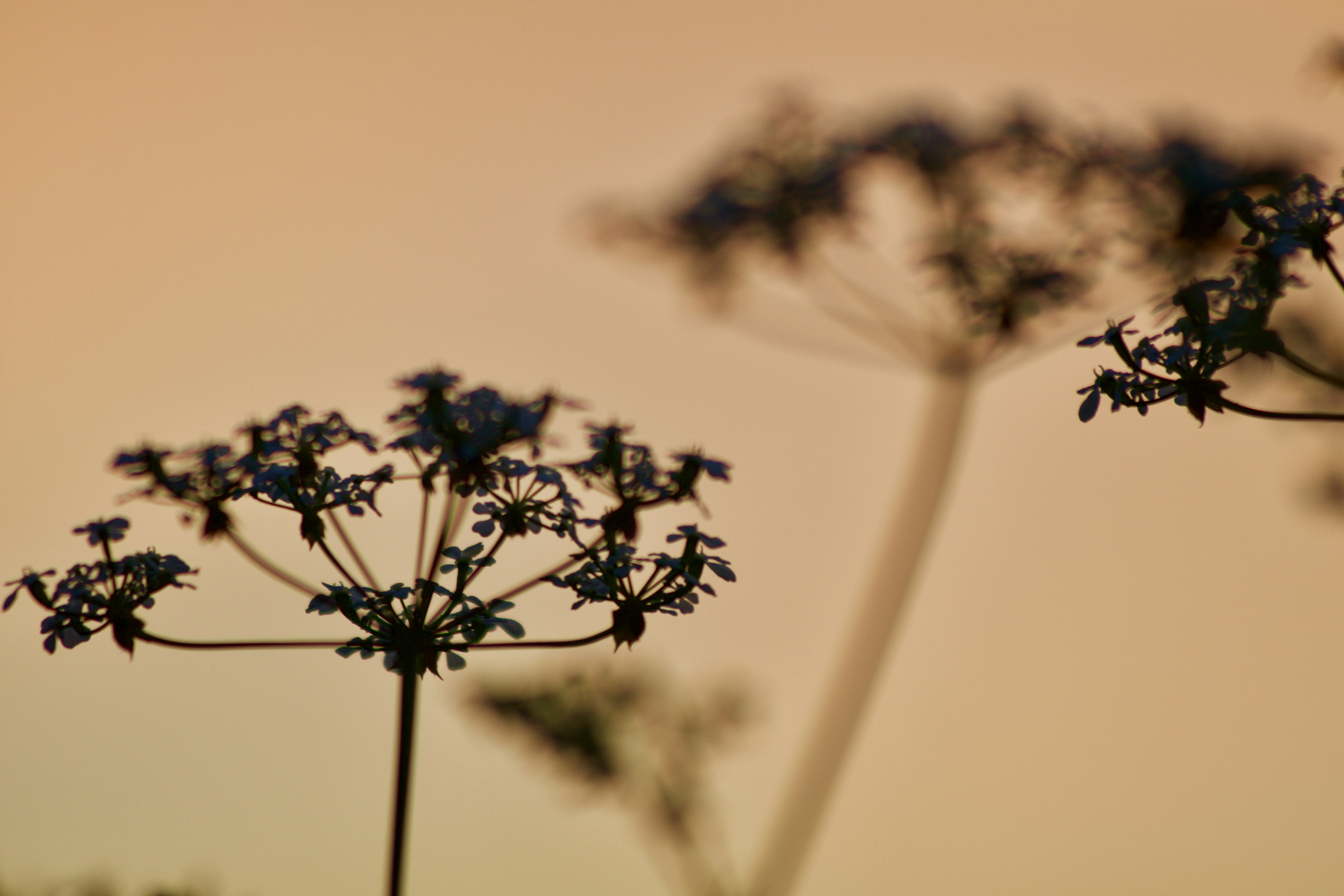 Photo by arnaudgillard