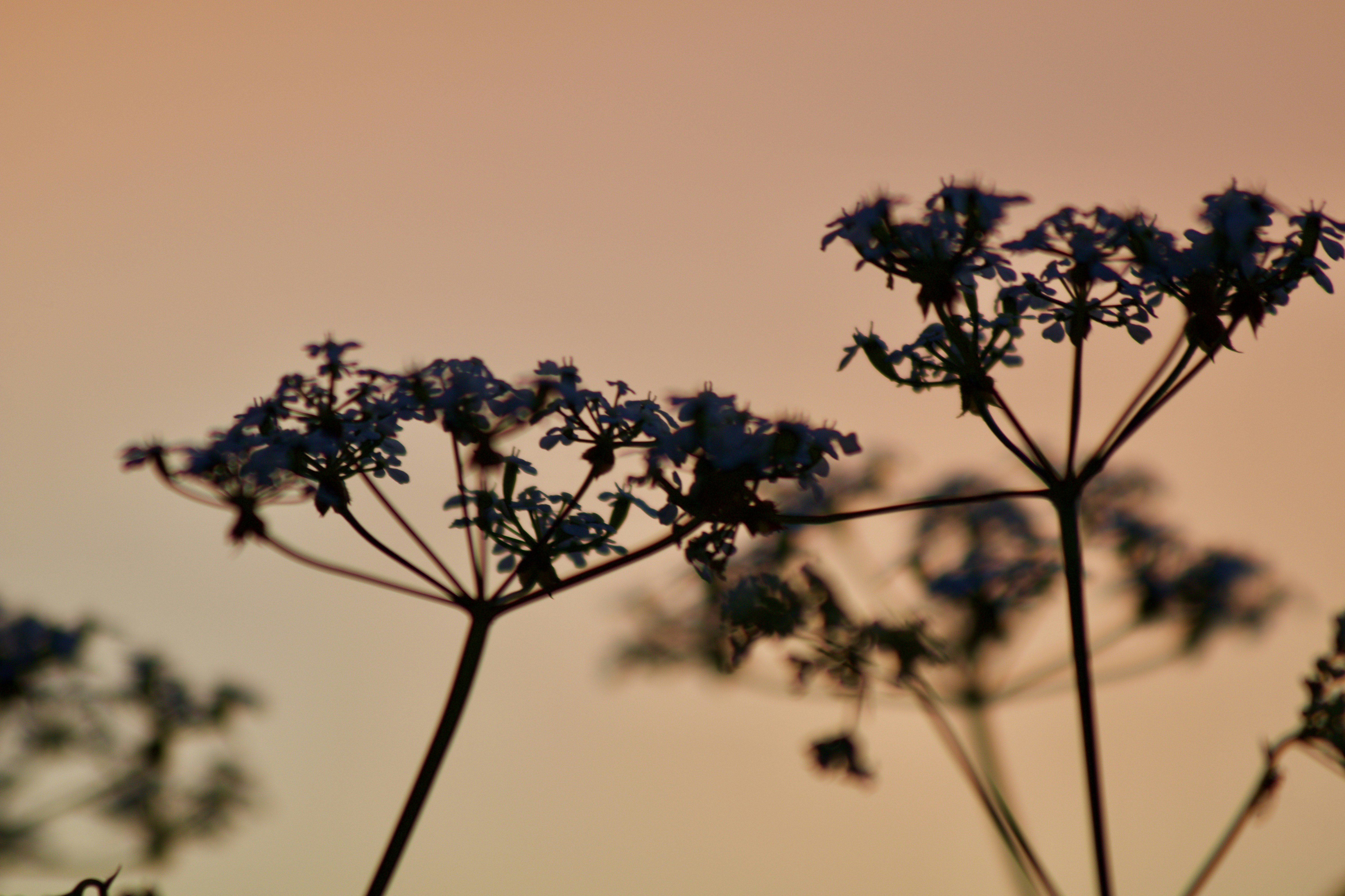 Photo by arnaudgillard