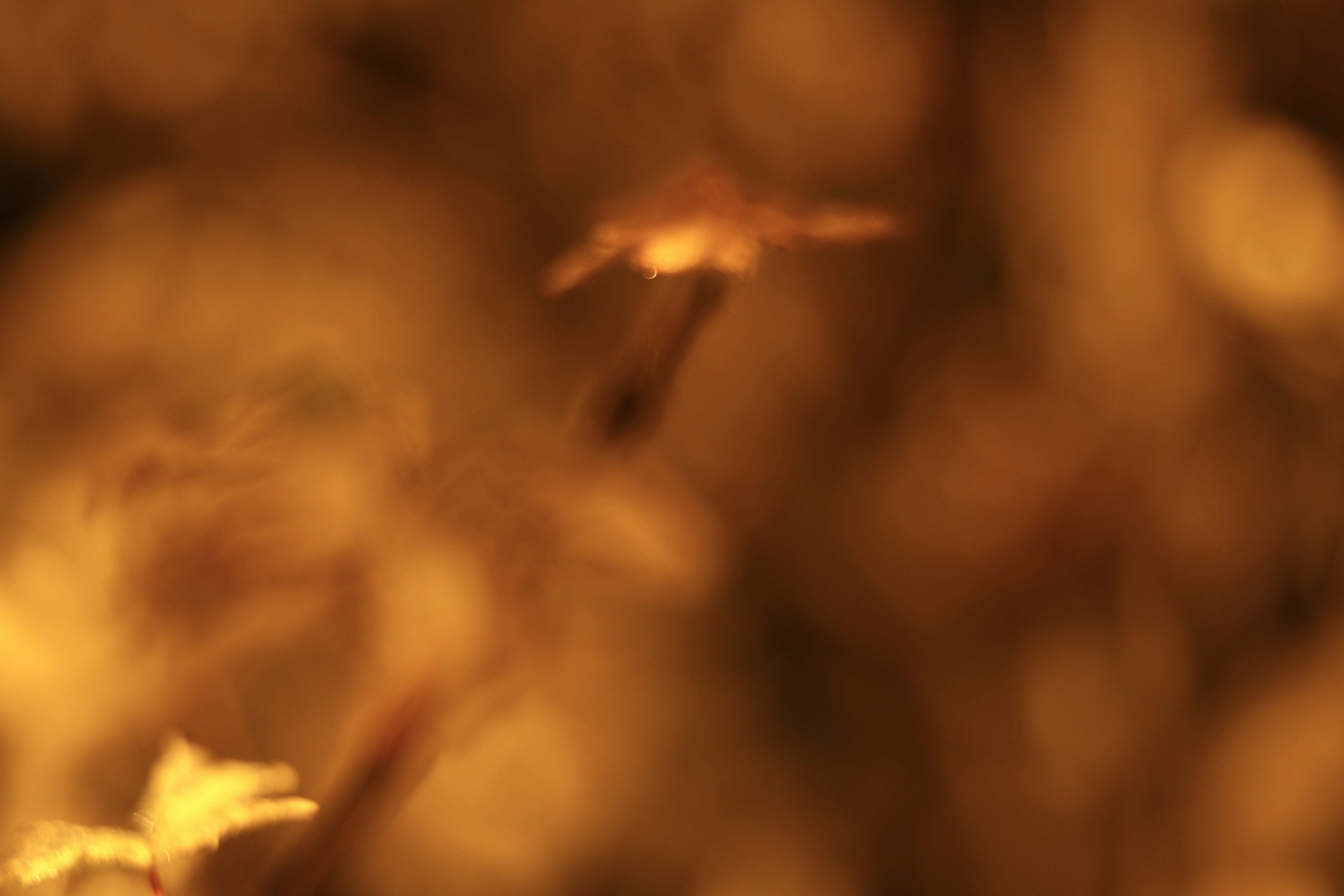 Photo by arnaudgillard