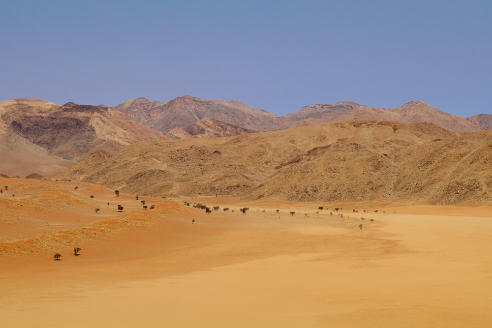 a desert landscape with mountains in the background