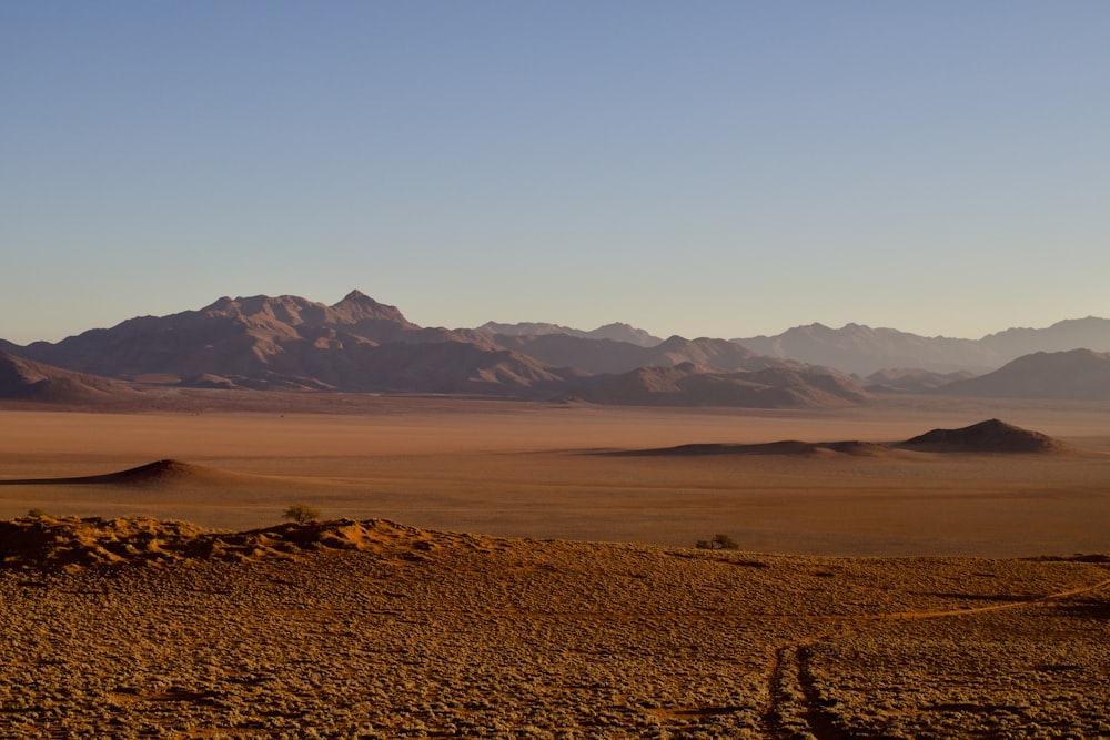 a desert landscape with mountains in the distance