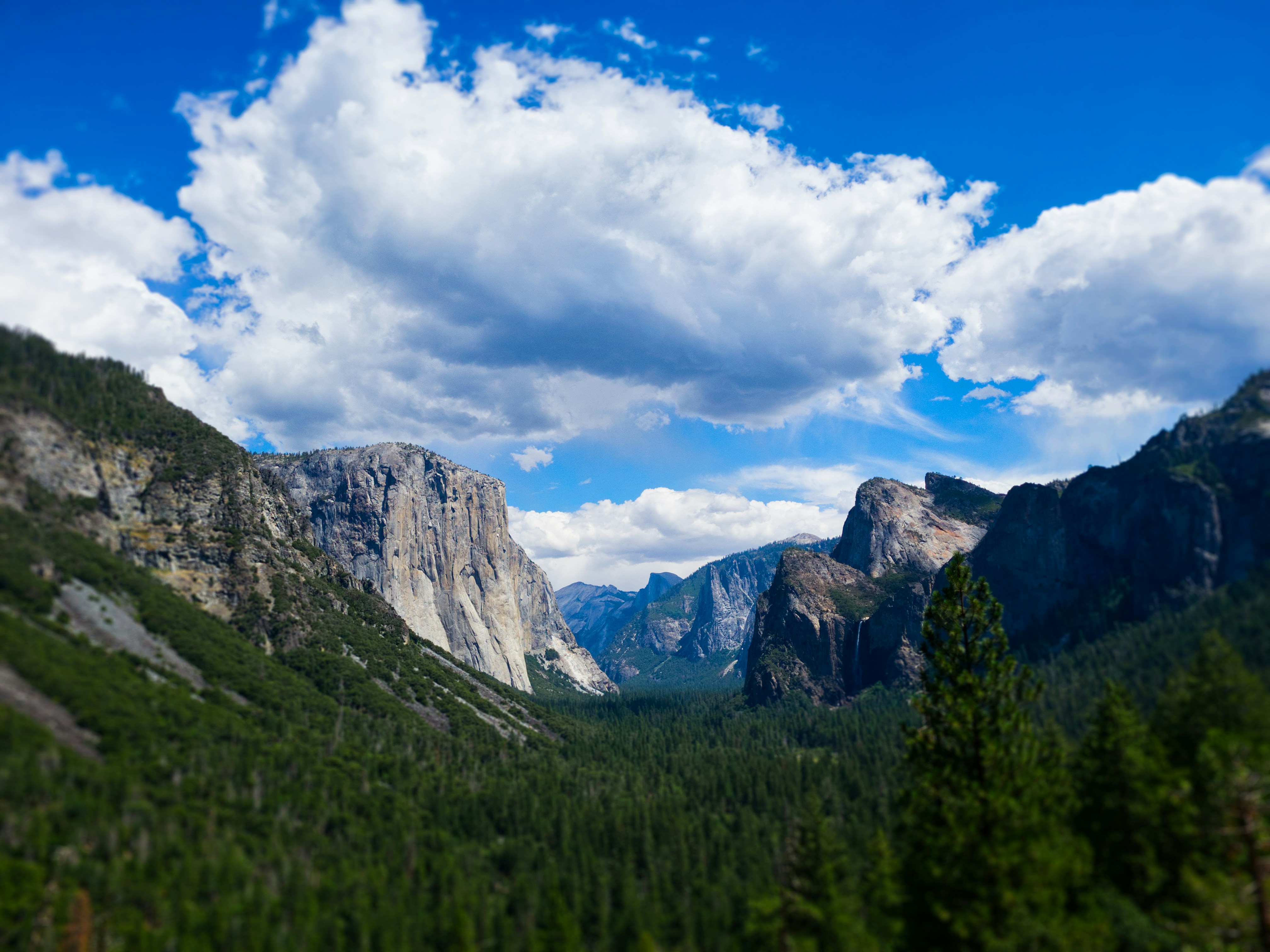 Photo by neeraj_artx