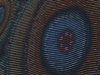 An abstract composition featuring bold, curving lines in a variety of colors set against a dark background. The lines create a sense of movement and flow, forming circular and wave-like patterns. The image is visually striking due to the contrast between the colorful lines and the black backdrop.