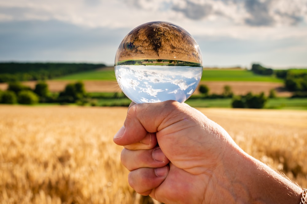 a hand holding a glass ball in front of a wheat field