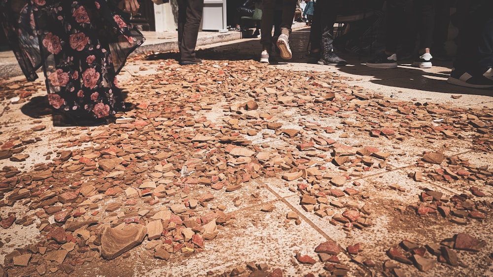 a group of people standing around a pile of rocks