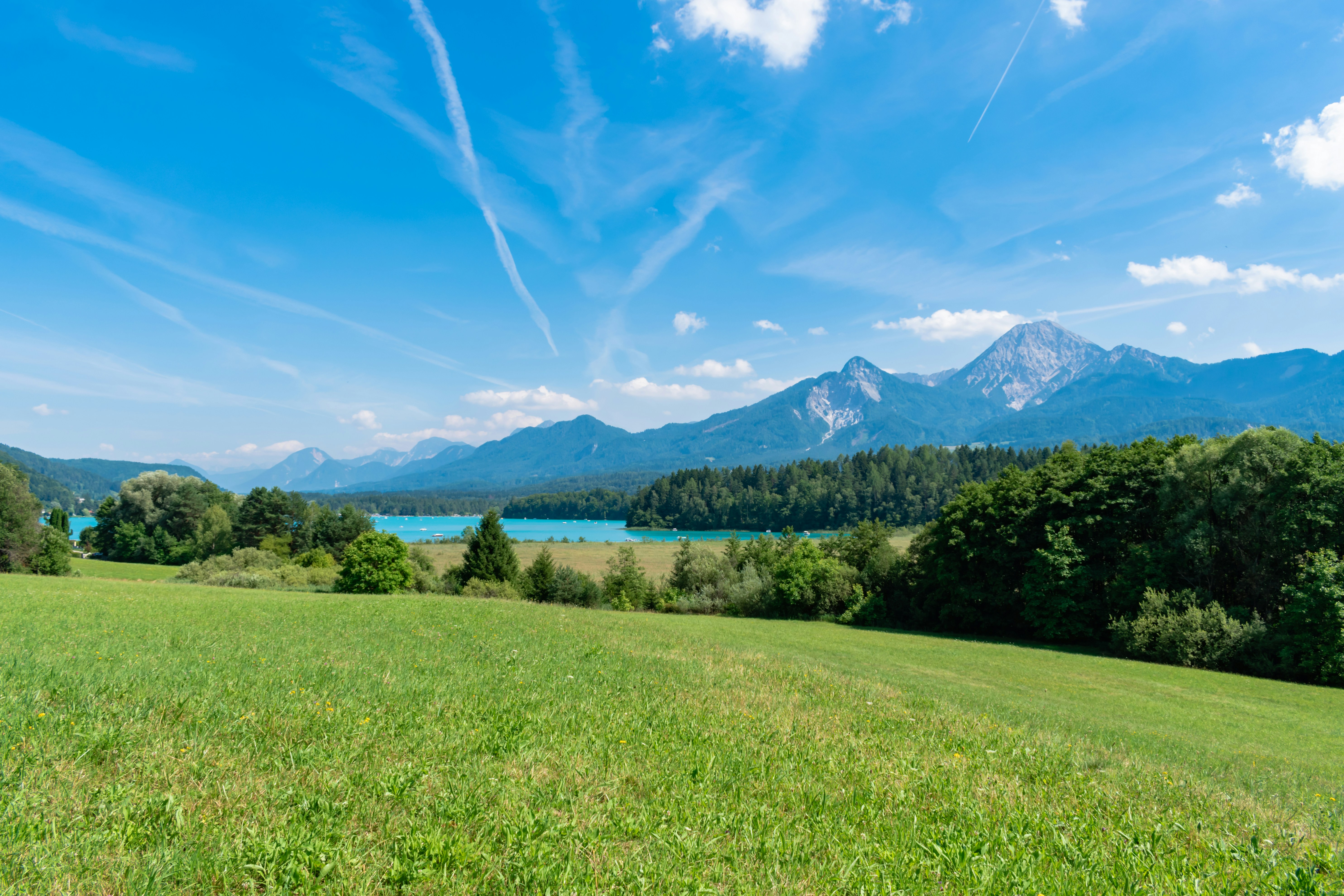 a grassy field with mountains in the background, 