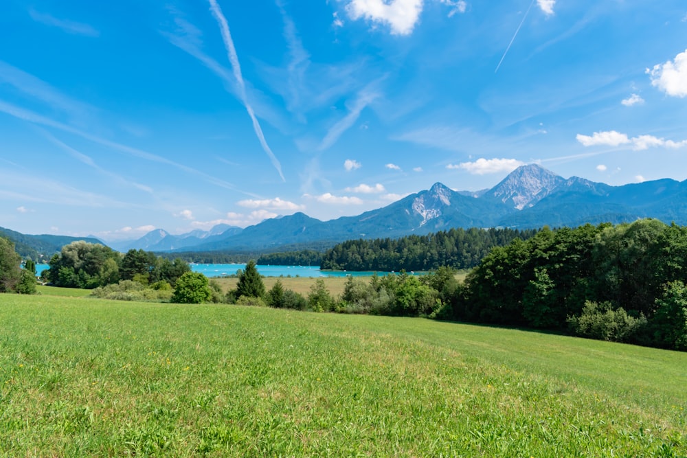 a grassy field with mountains in the background