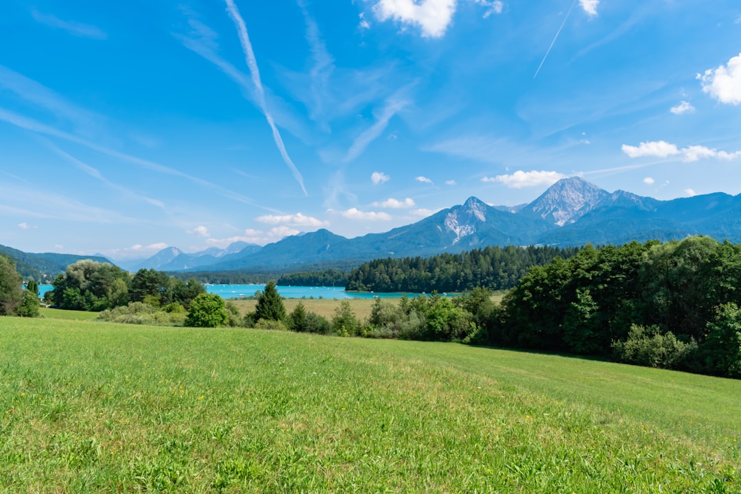 a grassy field with mountains in the background,
