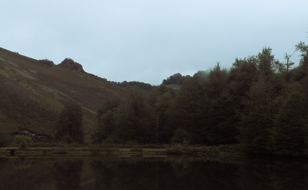 a body of water surrounded by a lush green hillside