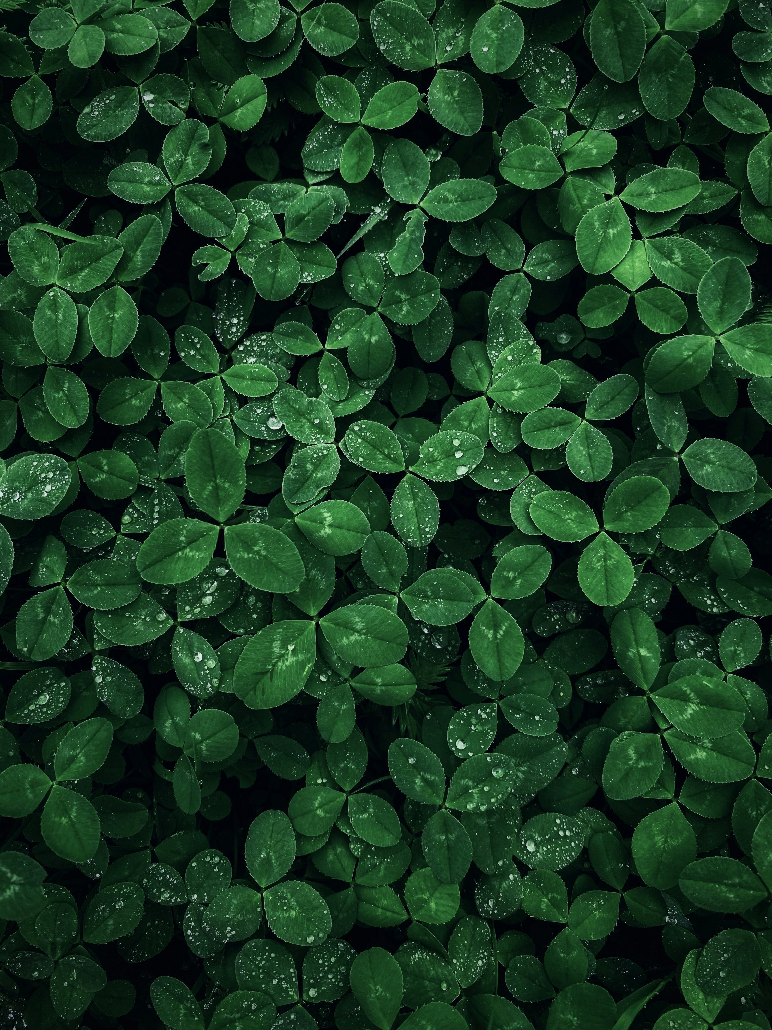 Photo by eugene_golovesov