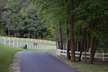 A peaceful scene with a paved path leading through a lush, green forested area. There are white fences lining a pasture where horses are grazing. Tall trees with dense foliage surround the area, creating a serene and natural environment.