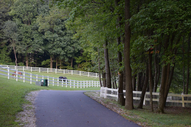 A peaceful trail winding through tall trees on the Lighthorse Equine & Wellness grounds in Hickory Corners.