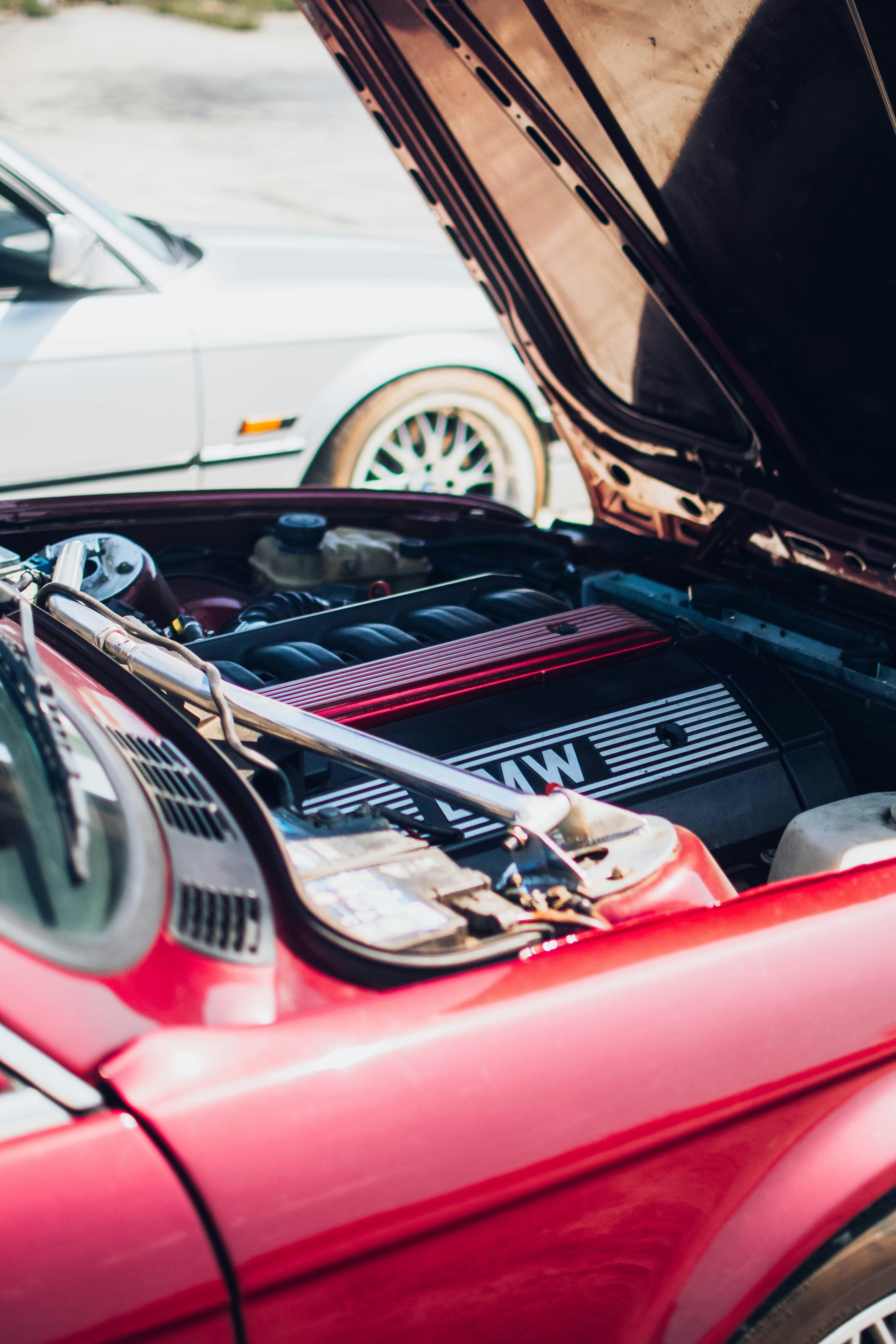 Photo by ardenfalcone