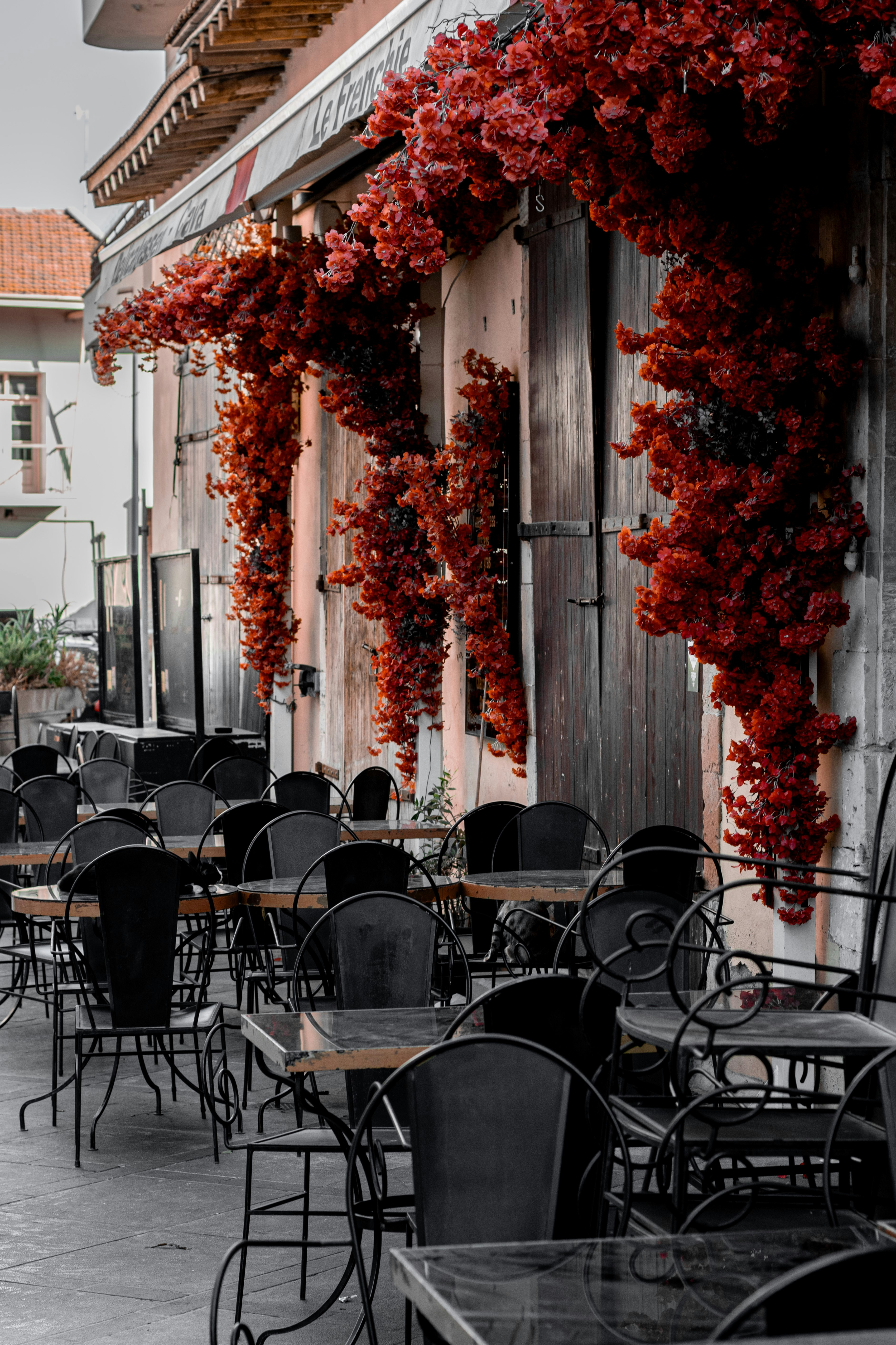 Photo by viktoriia_kondratiuk