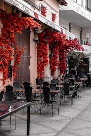 A charming outdoor caf&eacute; setting with several metal tables and chairs arranged neatly on a tiled pavement. Vibrant red flowers cascade down the building facade, creating a striking contrast with the muted pastel tones of the walls. The ambiance is quiet and inviting, suggesting a peaceful spot for a meal or coffee.