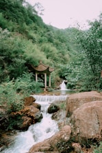 a small waterfall running through a lush green forest